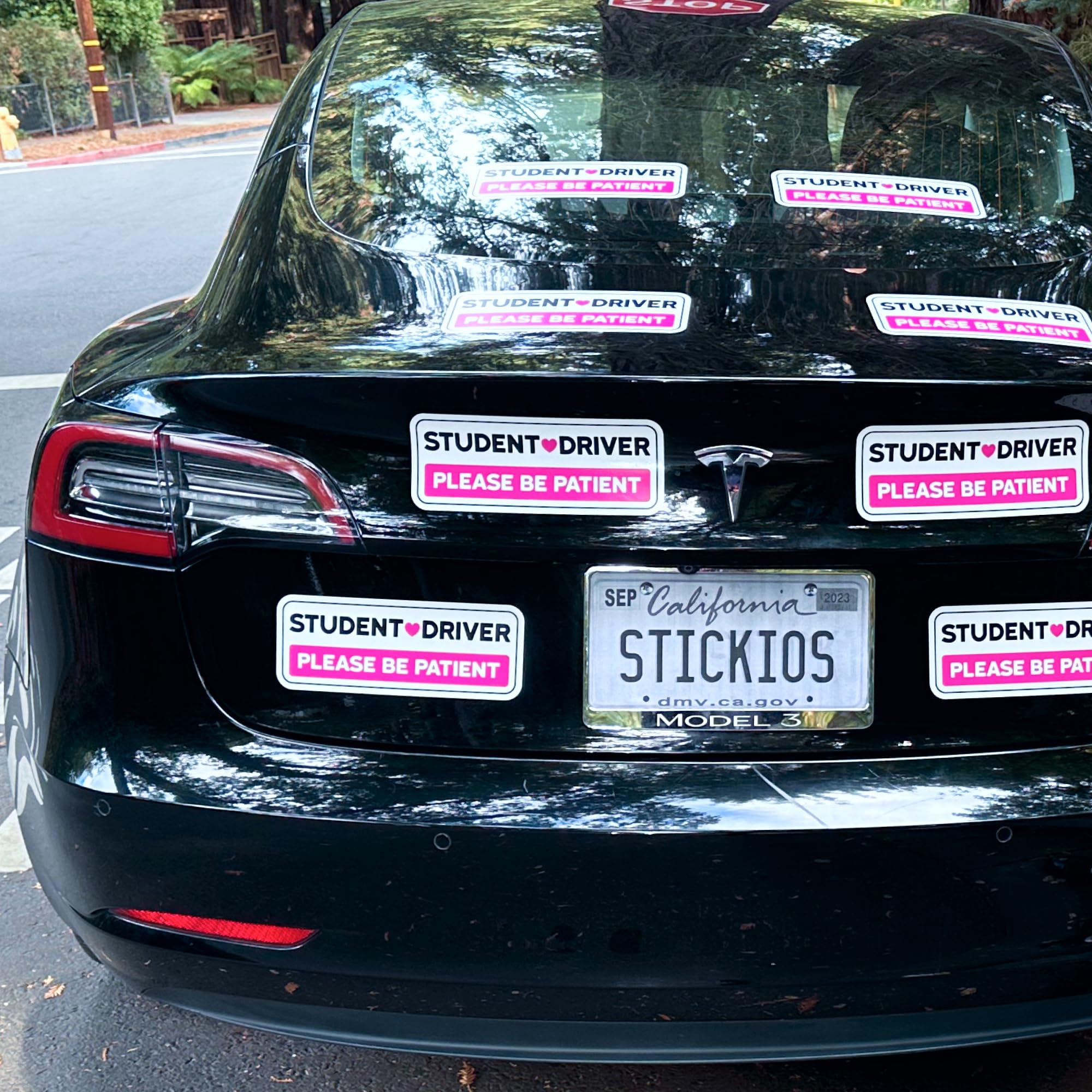 Stickios Student Driver Sticker: Non-Magnetic Removable Cute Pink Vinyl Decal Please Be Patient Sign For Cars & Windows (10X4.4