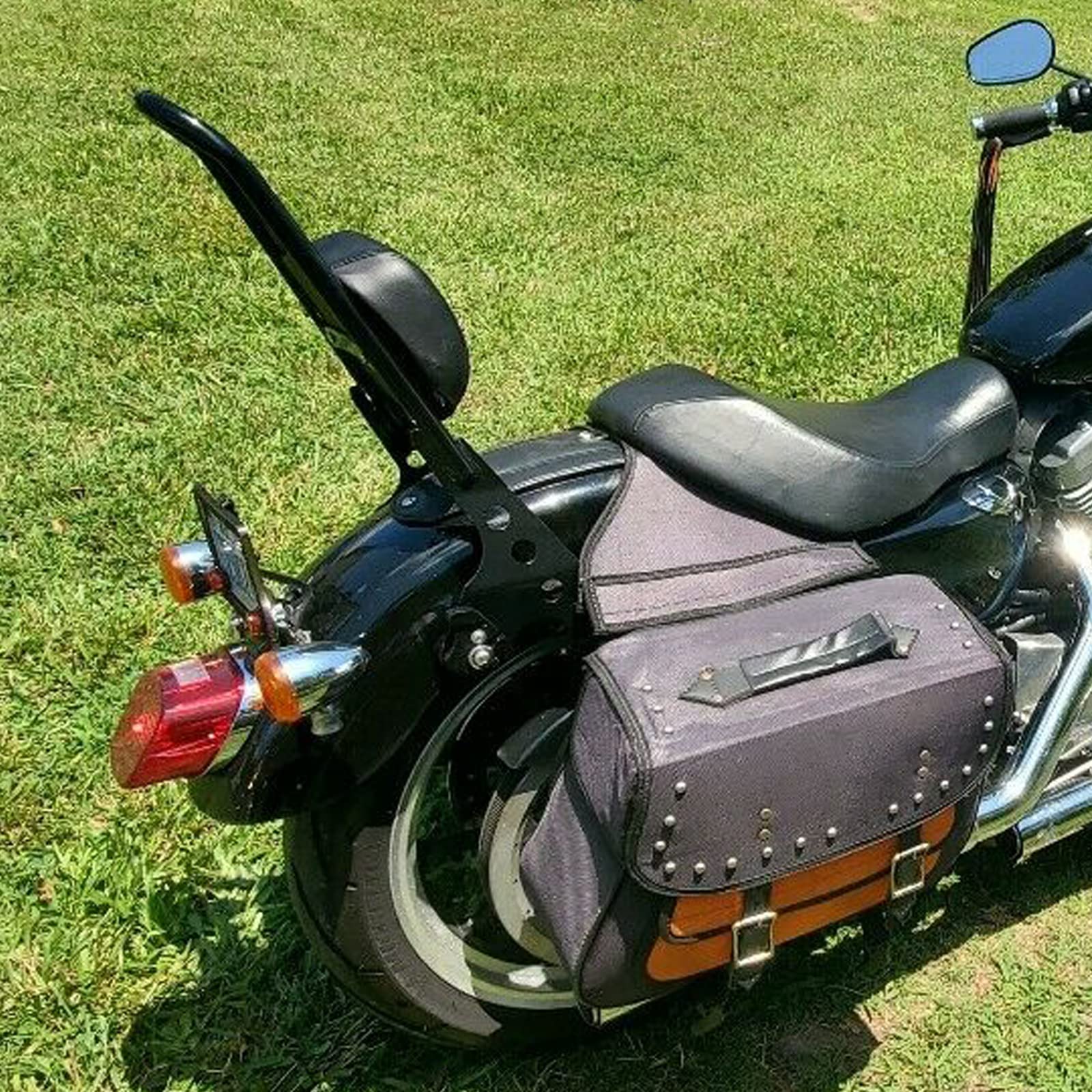 ECOTRIC Detachable Sissy Bar with Backrest Compatible with 2004-Up Harley Sportster XL883C 883R XL1200R 1200C 1200S XLH883 XLH12