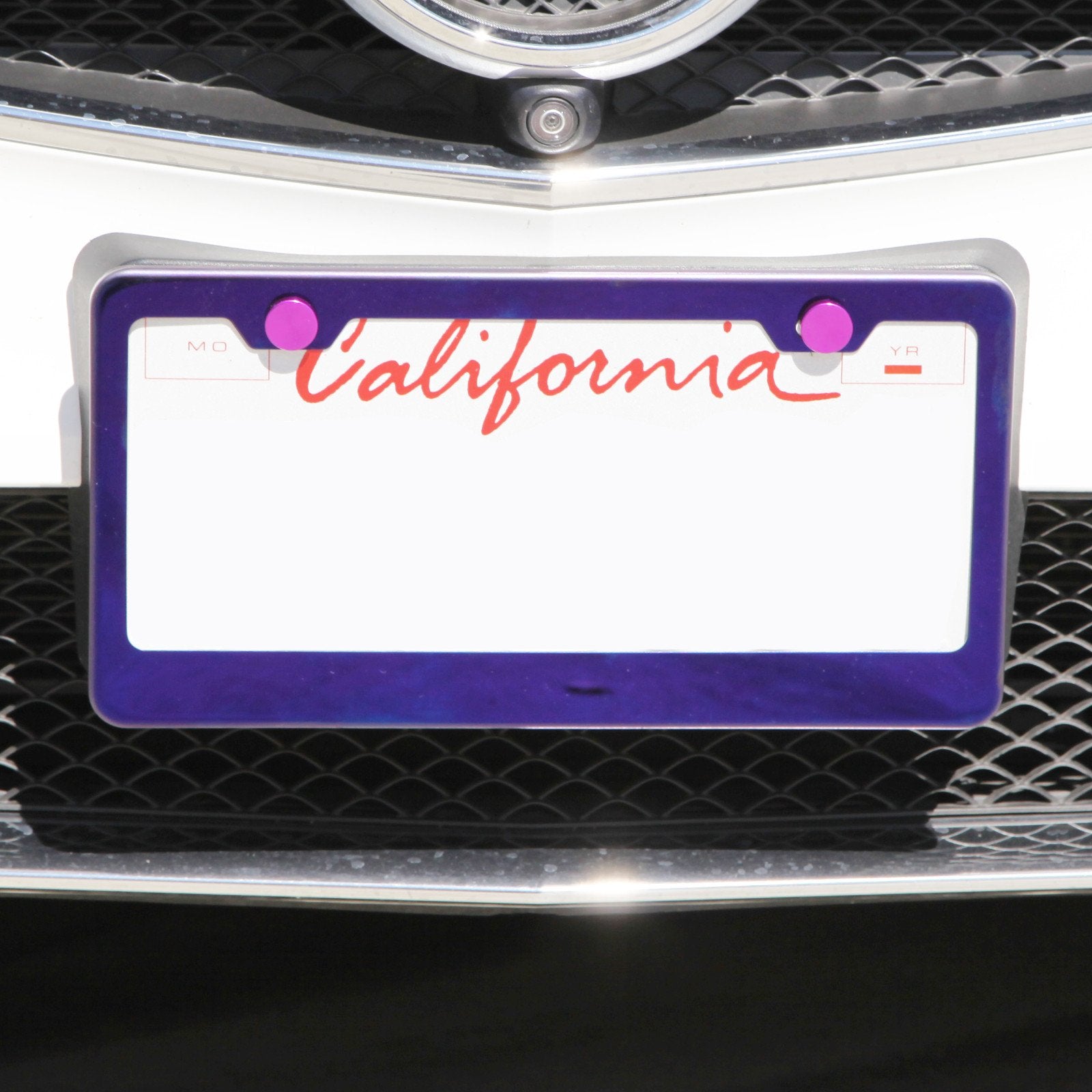 Polish Purple Chrome T304 Stainless Steel License Plate Frame Holder Front Or Rear Bracket With Aluminum Screw Cap