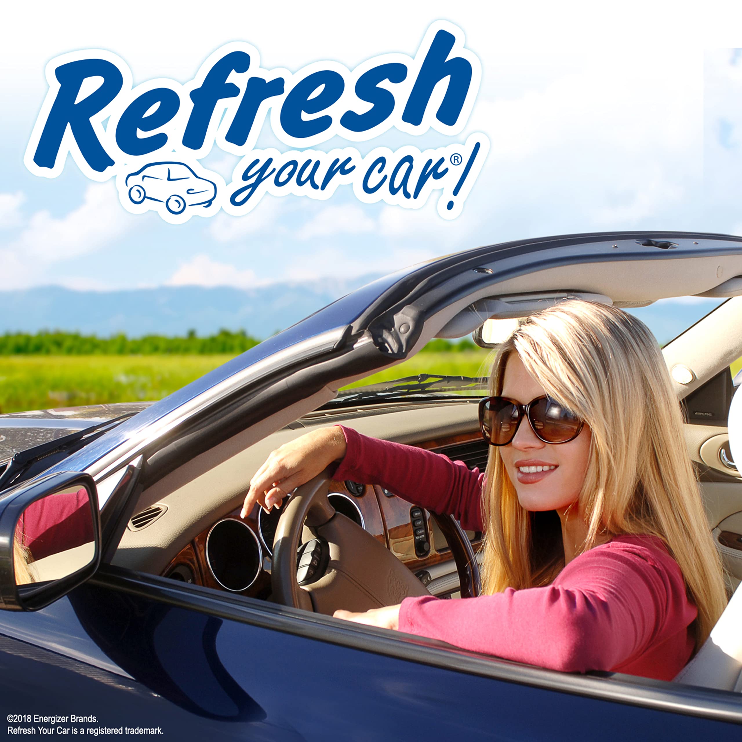Refresh Your Car! E300868603 Mini Oil Diffuser, 2 Per Pack, Fresh Spring Air