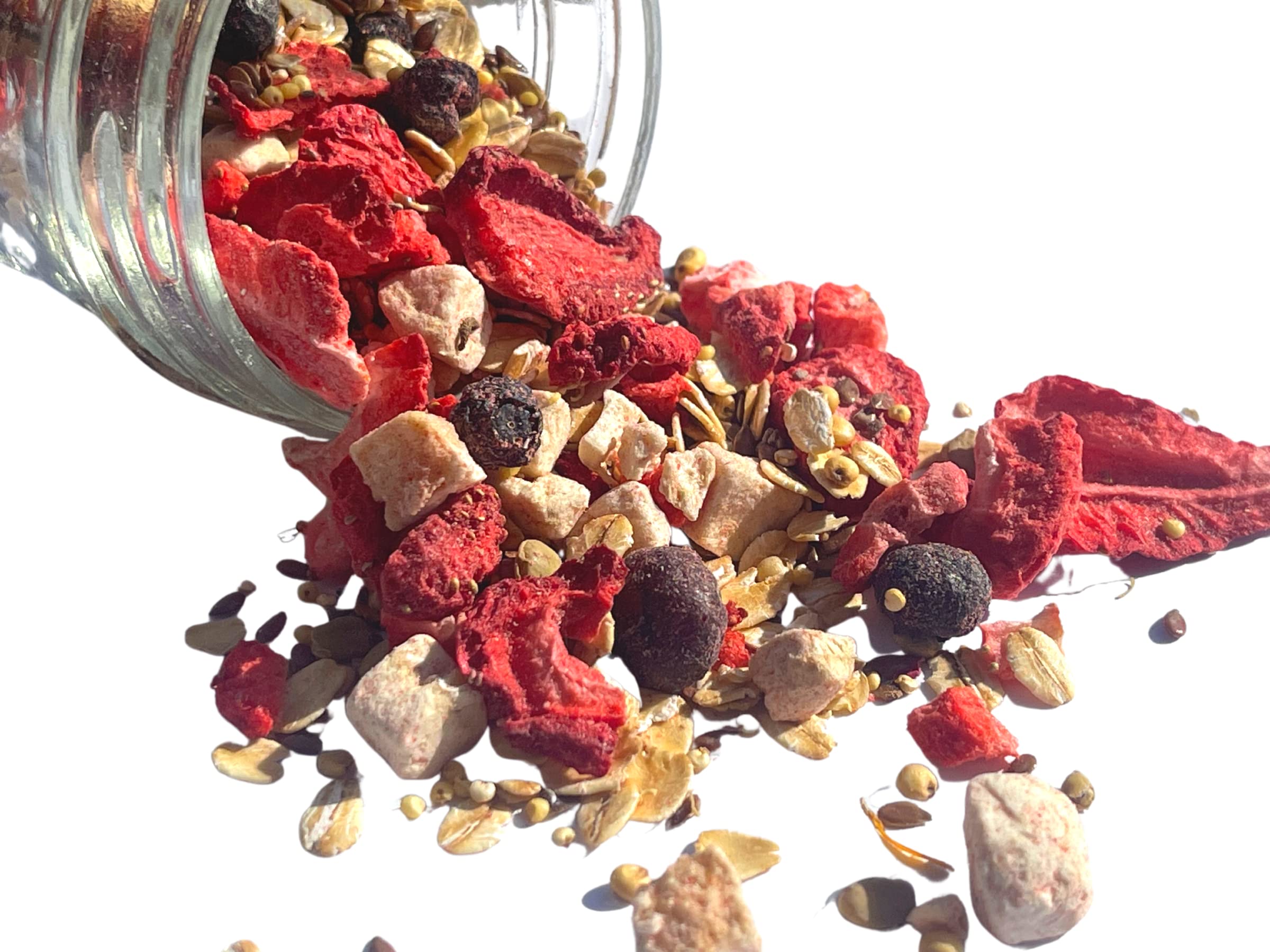 Snout And Shell Berry Hibiscus Hermit Crab Dry Food - High Protein  Nutrient Blend Diet Of Rolled Oats, Blueberries, Strawberry,