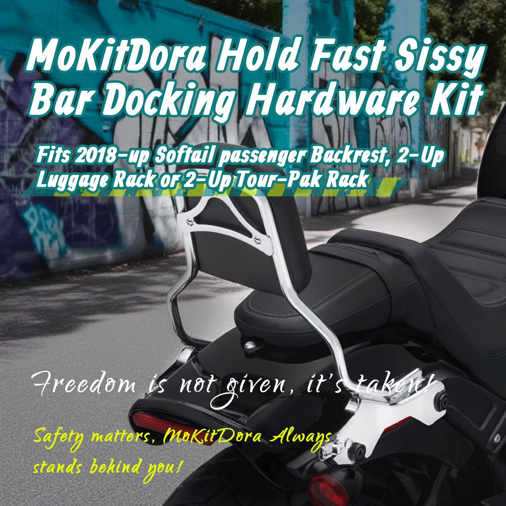 MoKitDora Hold Fast Sissy Bar Docking Hardware Kit for Harley 2018-later Softail Fat Boy FLFB, FLFBS, FXBR FXBRS FLDE, FLHC, FLH