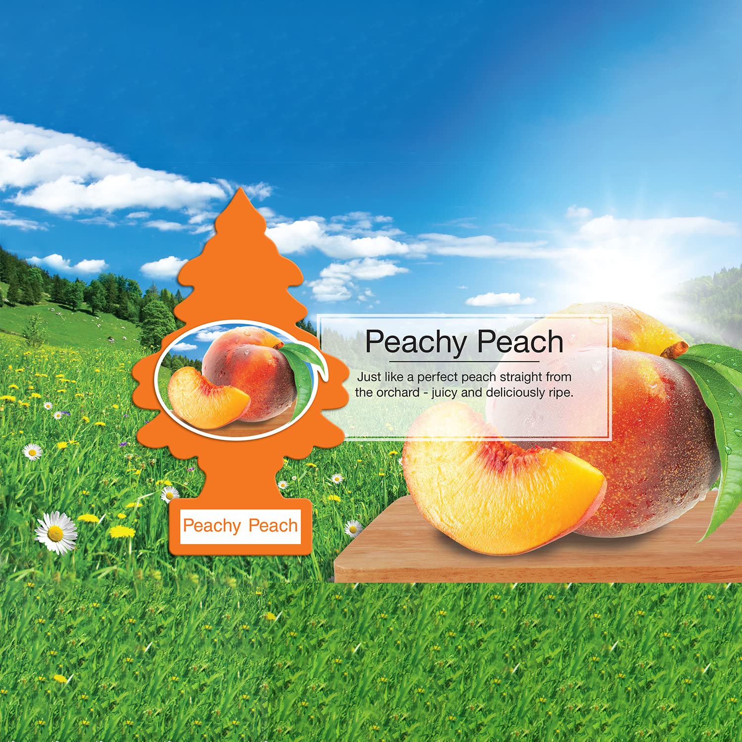 Little Trees Cardboard Hanging Car, Home & Office Air Freshener, Peachy Peach (Pack Of 6)