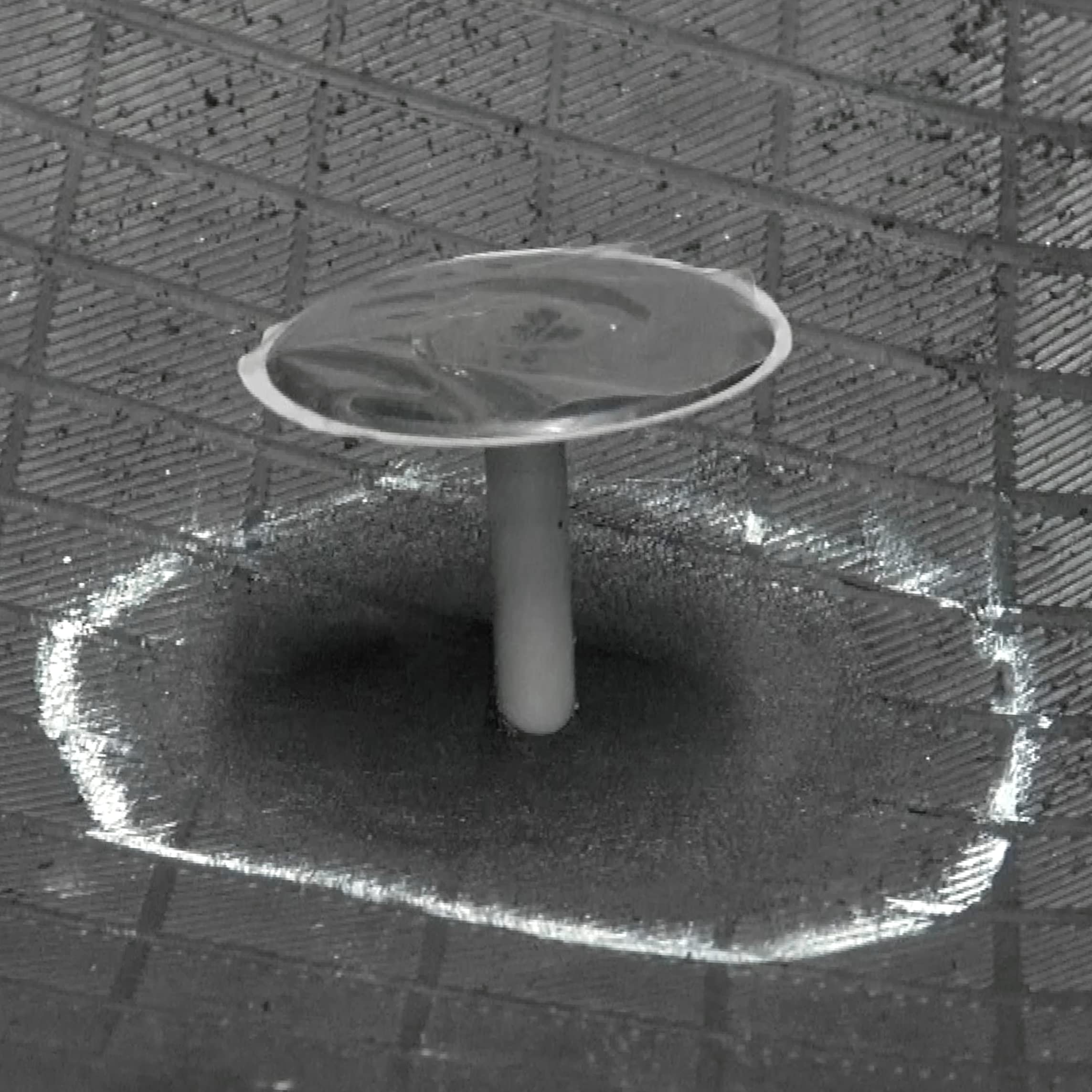 Patch Rubber Company 14042 3/8-Inch Pilot Wire Patch Plugs With 1-3/4-Inch Diameter Patch For Radial Tire Tread Puncture Repairs