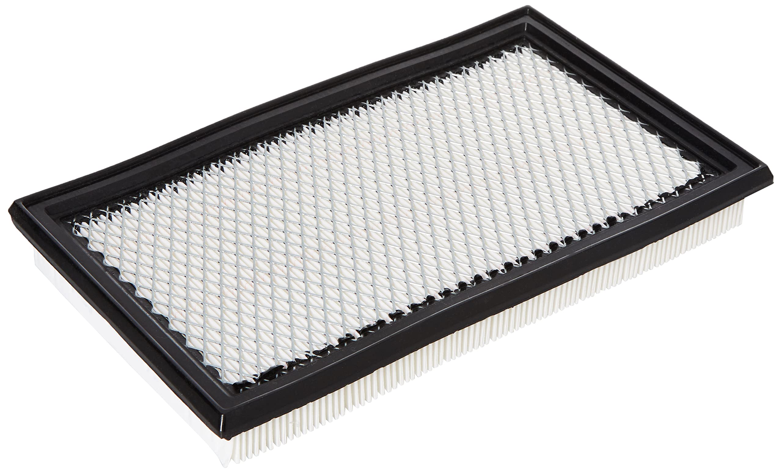Ecogard Air Filter - Xa4278
