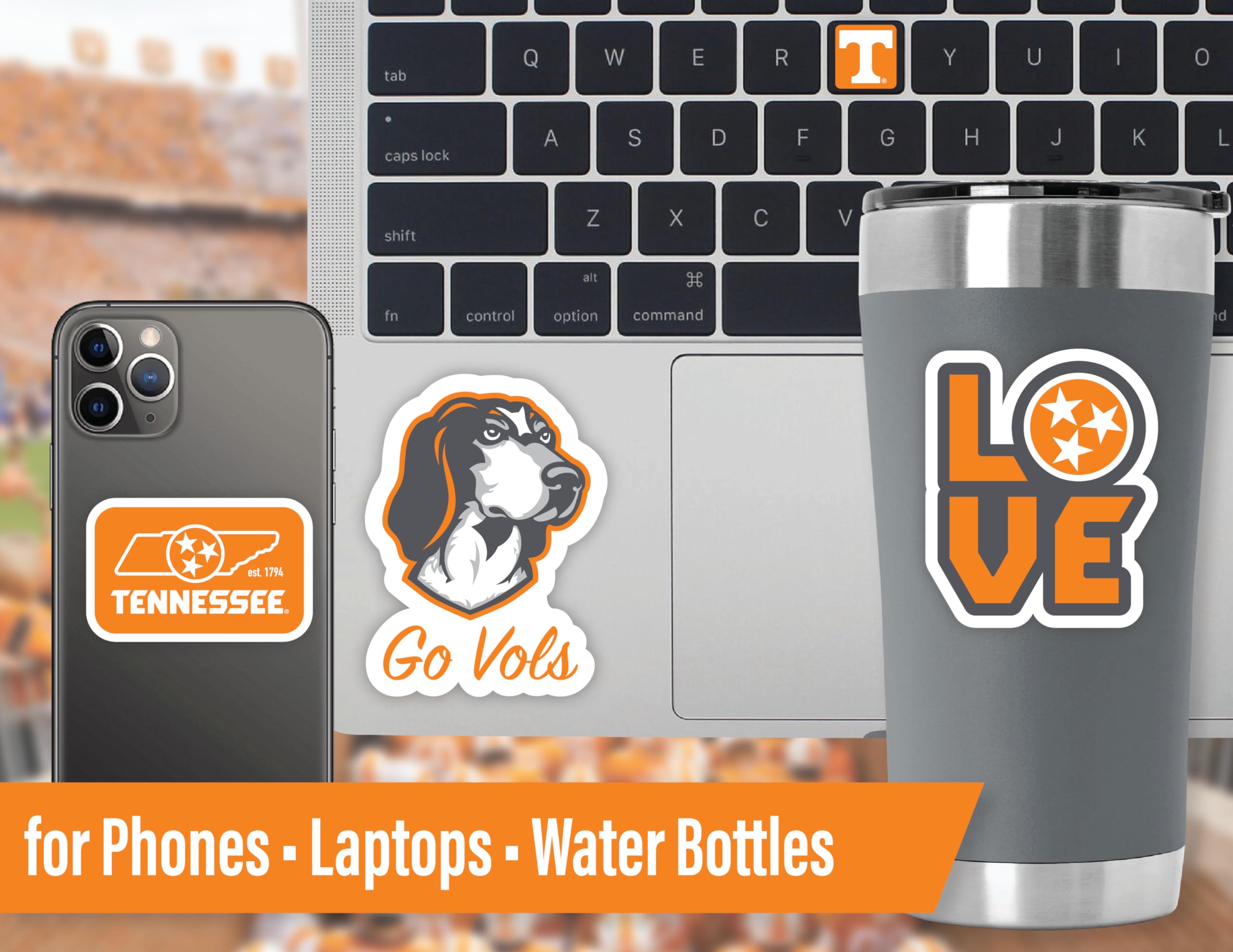 Tennessee Stickers (14 Stickers) 2 Large 5'' For Car Windows 10 Medium 2.5'' For Water Bottles Laptops Phones And 2 Mini Decals