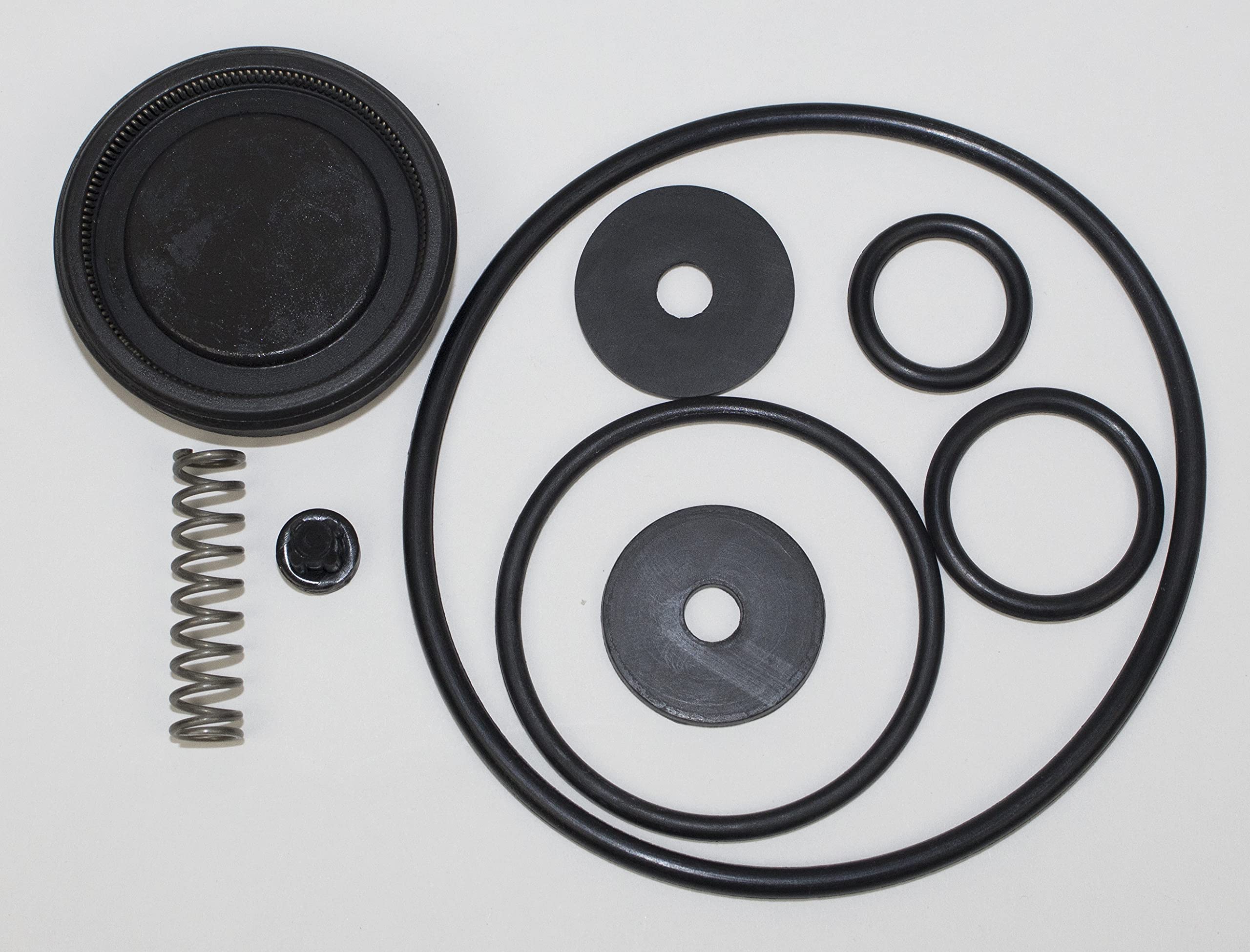 Piston Pump Repair Kit (Pack Of 1)
