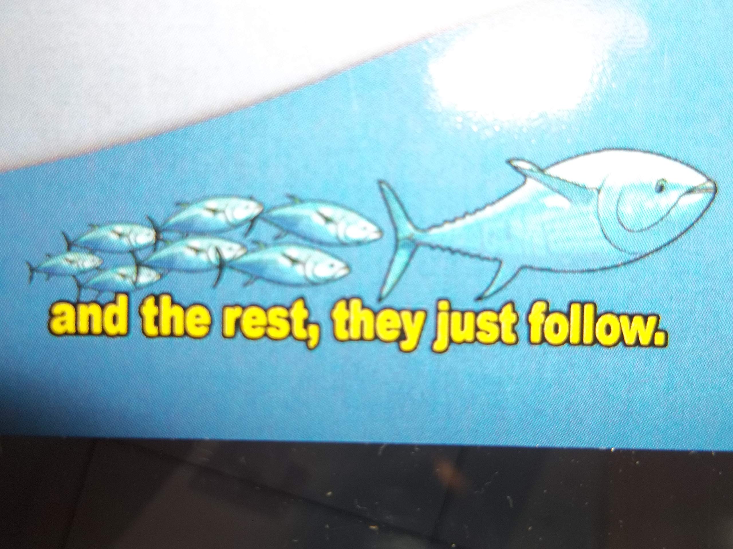 Rps-Glm Mercruiser Bravo Ii Iii Outdrive Anode Kit 2 3 Aluminum Salt Water Zinc Set 88+, Replaces 888761Q01