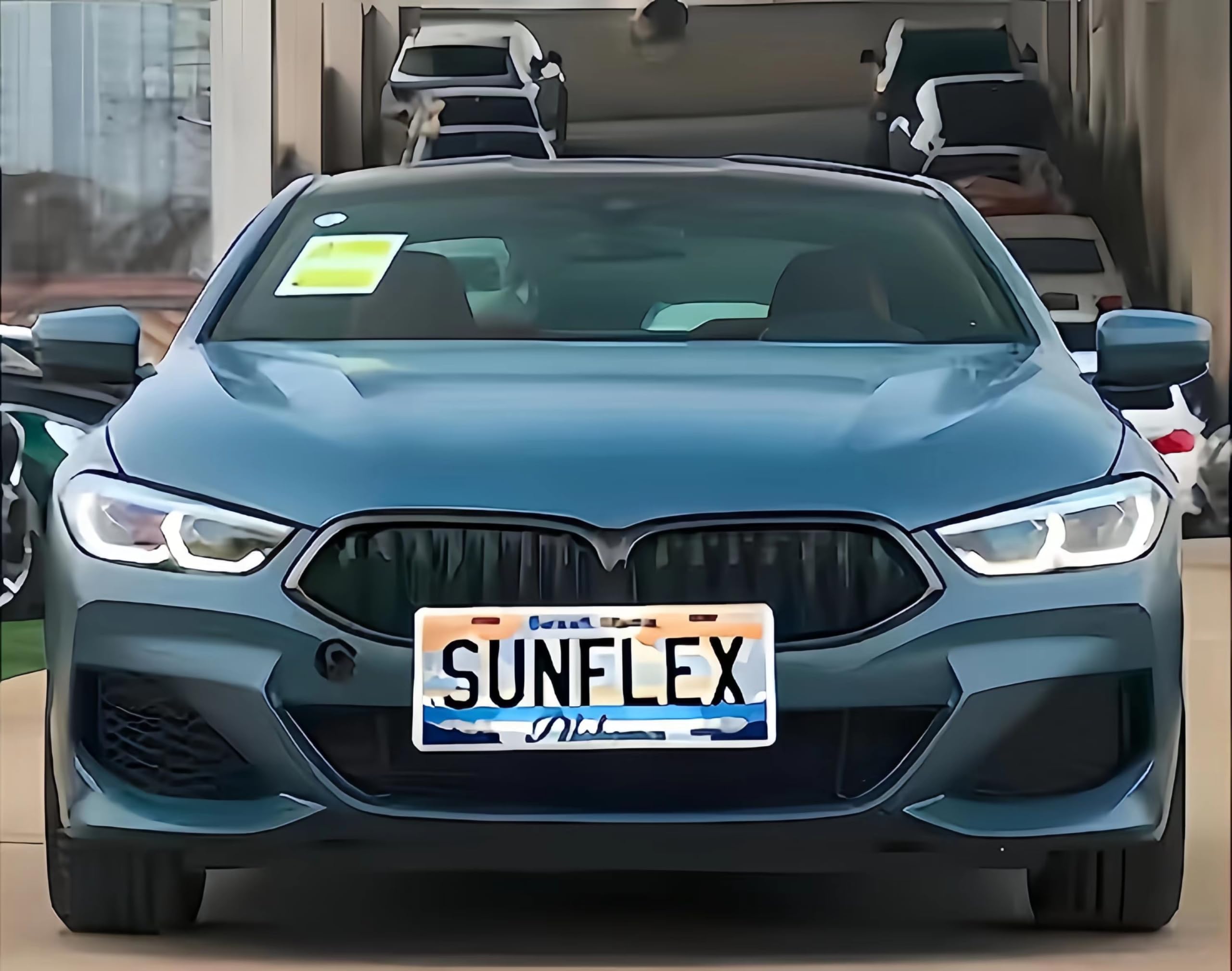 License Plate Transparent Security Frame, Privacy Focused Design,Clear Reflective Waterproof Tag and Weatherproof Shield,Anti-Gl