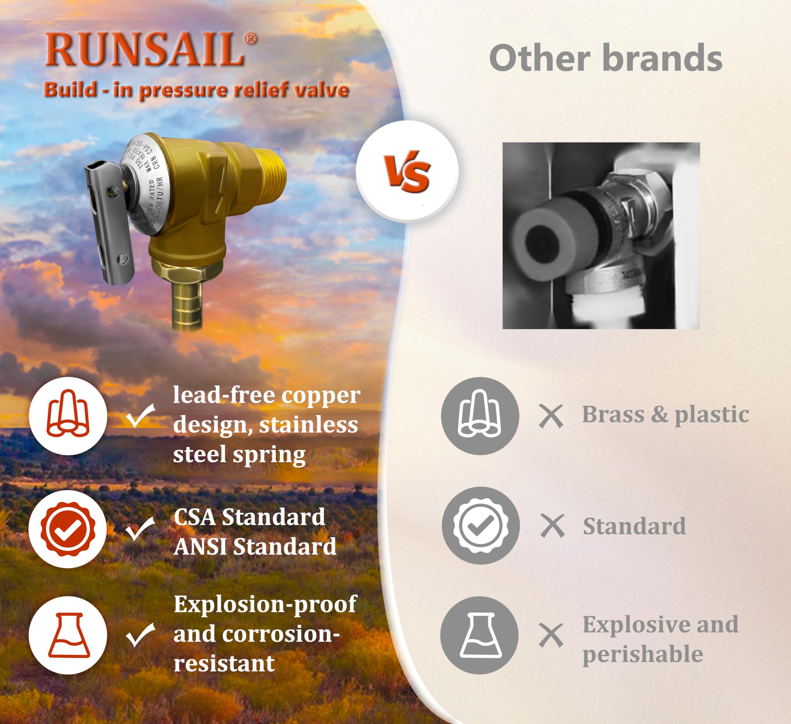 RUNSAIL RV Water Heater 65,000 BTU,Max 3.96 GPM, 15 x 15 Inches Black Door, Build-in Pressure Relief Valve with Remote Controlle