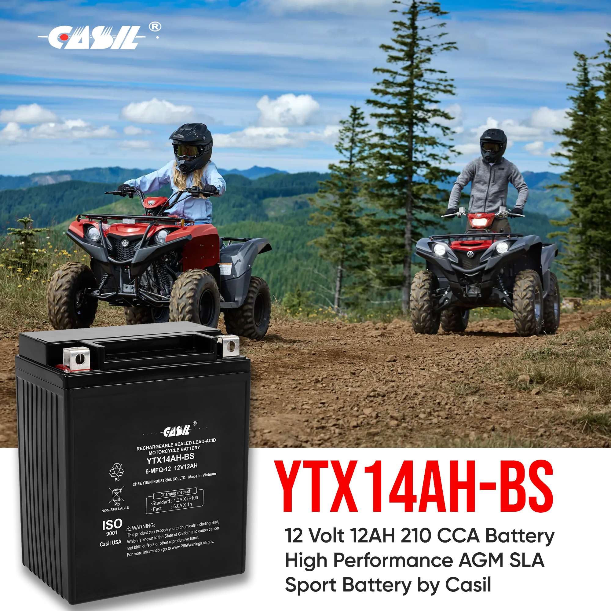 Ytx14Ah - 12 Volt 12Ah 210 Cca - High Performance Maintenance Free Sla Agm Power Sport Battery - Casil Battery, Ytx14Ah-Bs