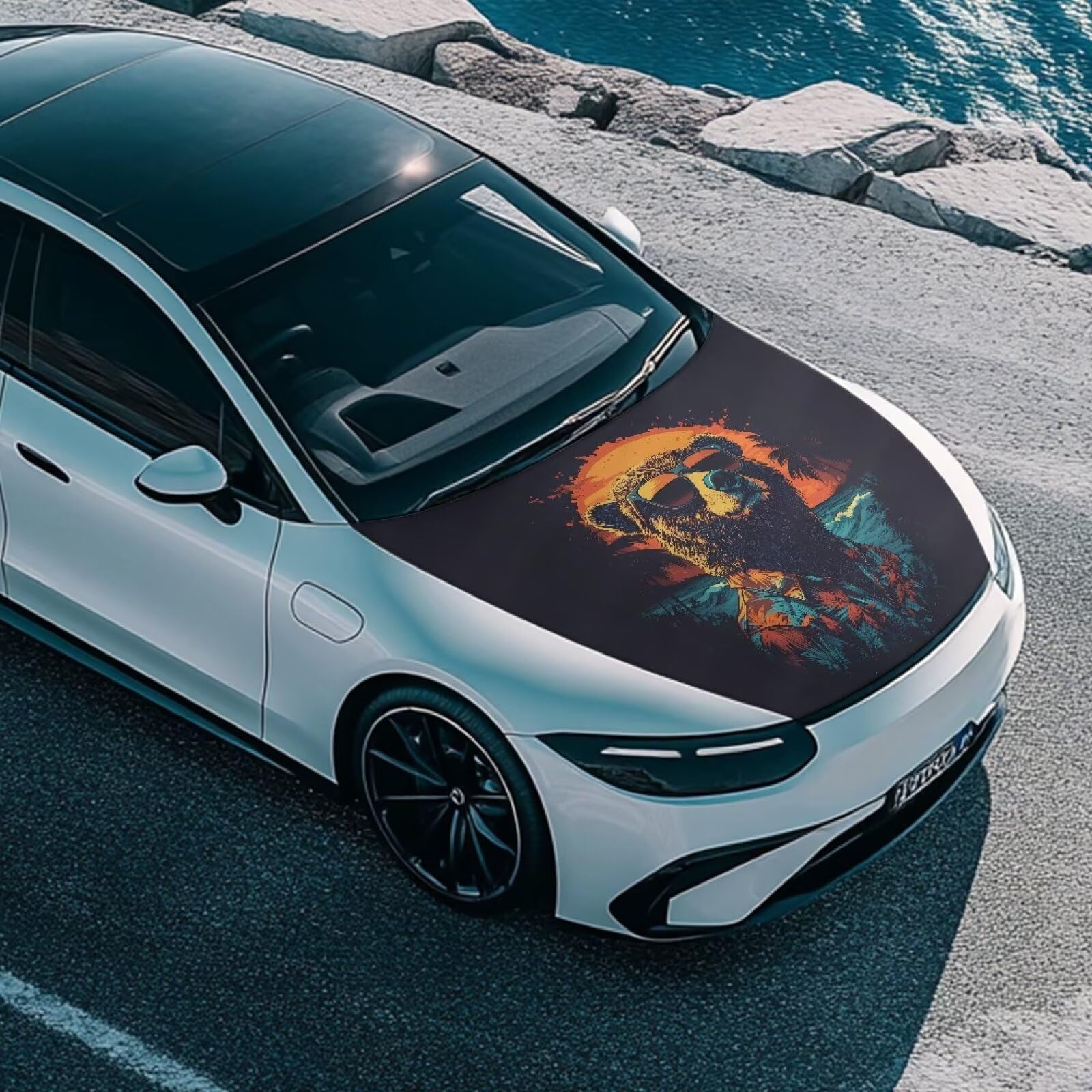 Qiyupavto 59  39 Inch Funny Bear Car Hood Cover Protector Waterproof Polyester Auto Hood Flag Stretchable Automotive Exterior Ac