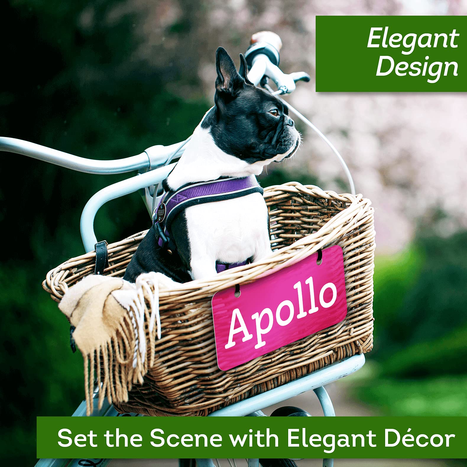 Mini License Plate, Custom License Plate For Bikes, Atv, Kids Car, Kids Bike, Golf Cart, Wagons And Key Rings | 2X4 Inch Metal -