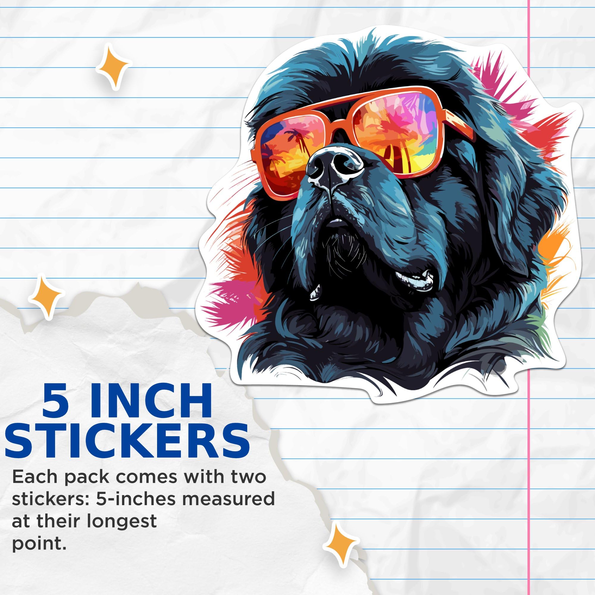 (2 Pack) Newfoundland Dog Stickers - Newfoundland with Sunglasses - Choose FromOver 100 Dog Breeds - 5 Inches On Longest Side -