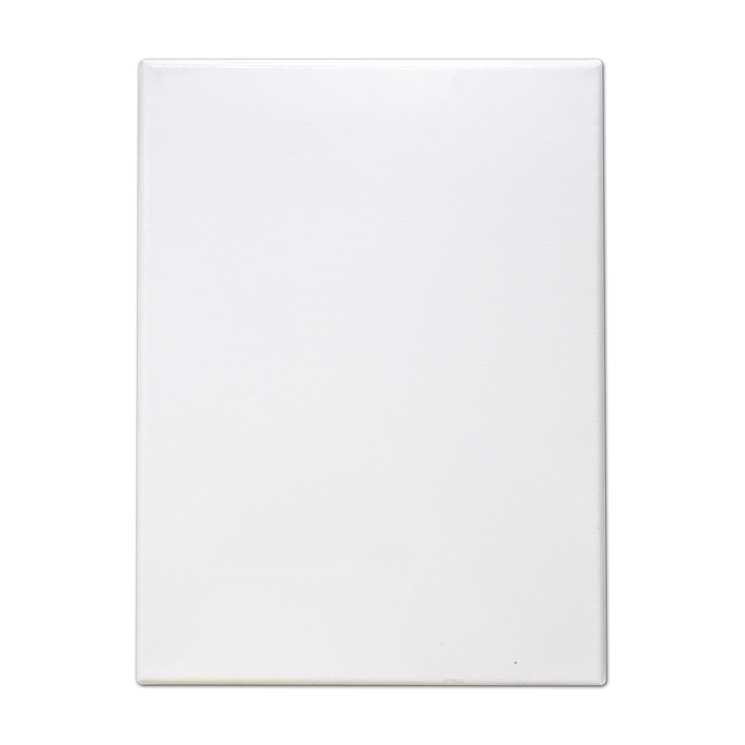 Lwr Crafts Stretched Canvas 8 X 10 Pack Of 6