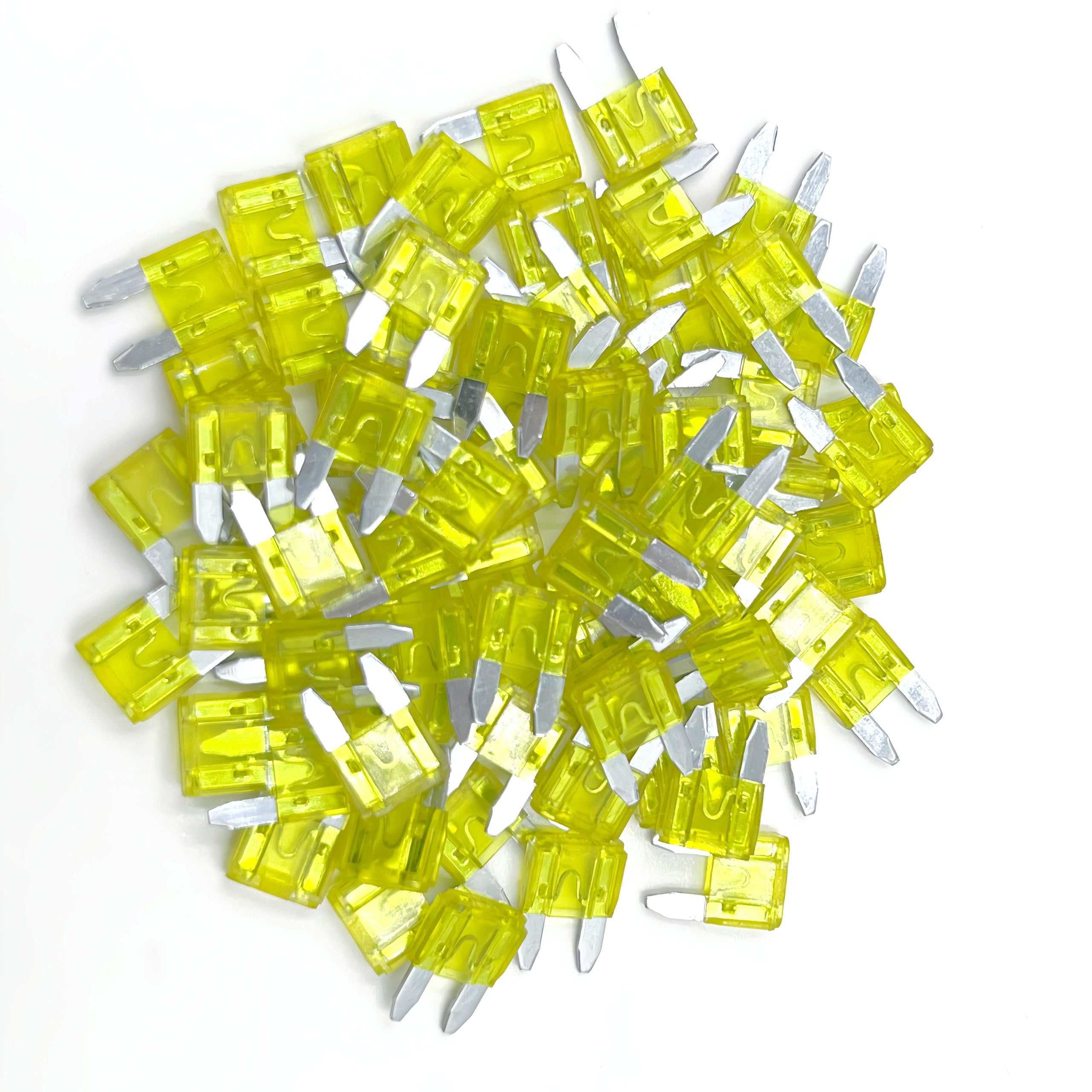 Xjlsgxusg 80Pcs 20Amp Mini Car Fuses, Blade Fuse Assortment Kit For Car, Marine, Truck, Rv Fuse Replacement