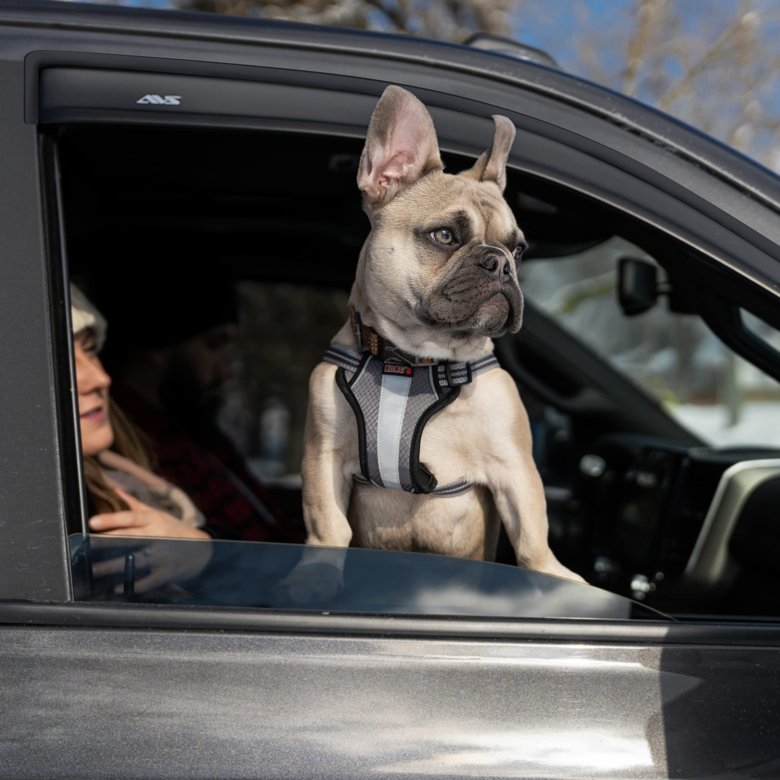 Avs 94076 For Fits 2009-11 Nissan Rogue Ventvisors