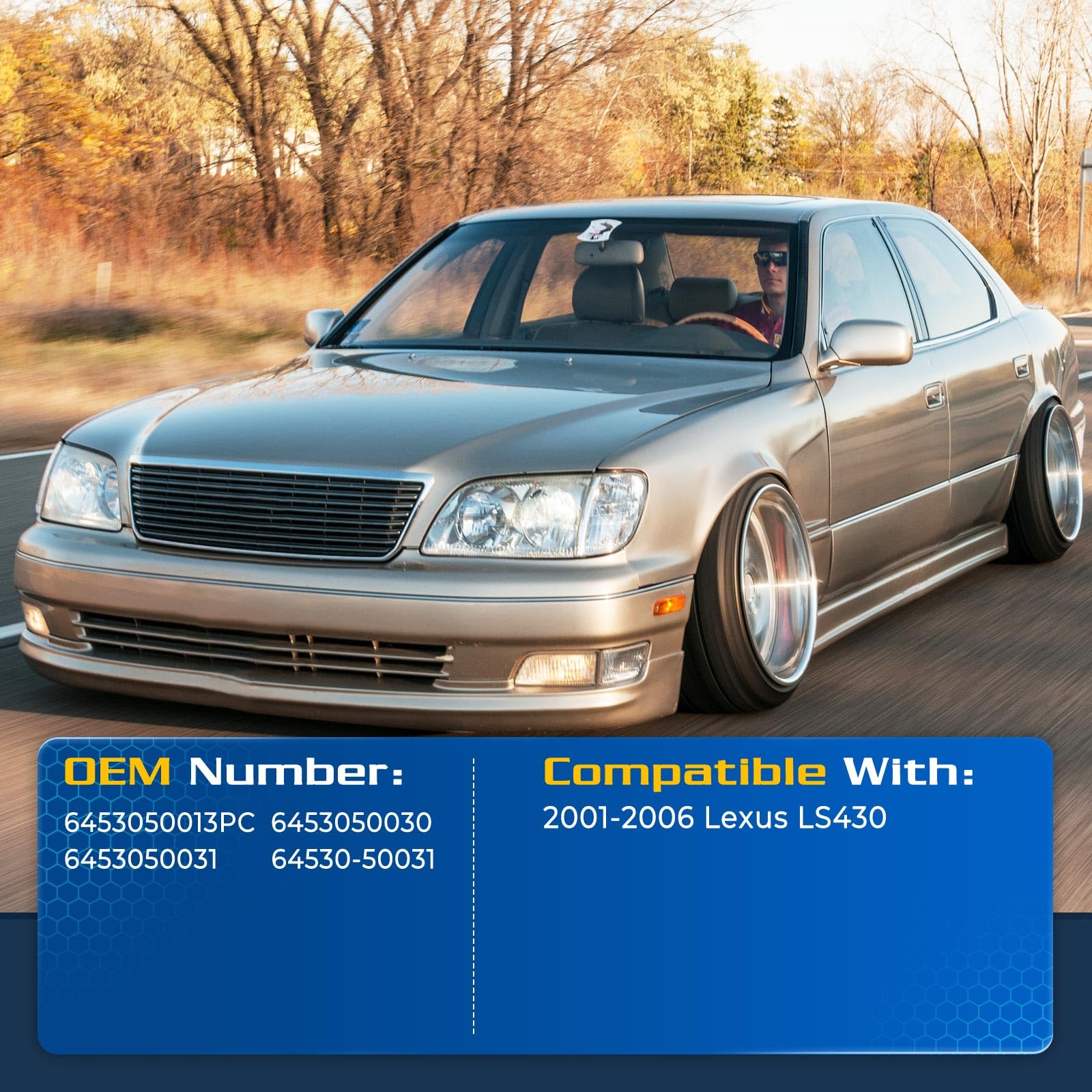 Arana Trunk Struts For Lexus Ls430 2001-2006, Rear Hatch Lift Support Liftgate Shock Fit 2001-2006 Lexus Ls430 Base Sedan 4-Door
