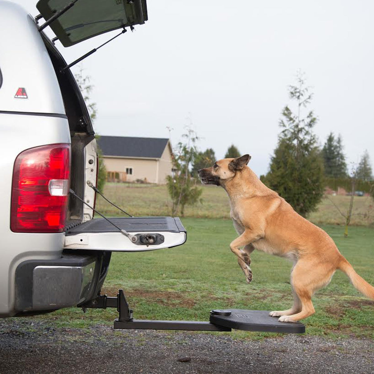 Heininger 3045 Portablepet Twistep Dog Hitch Step For Pickup Trucks