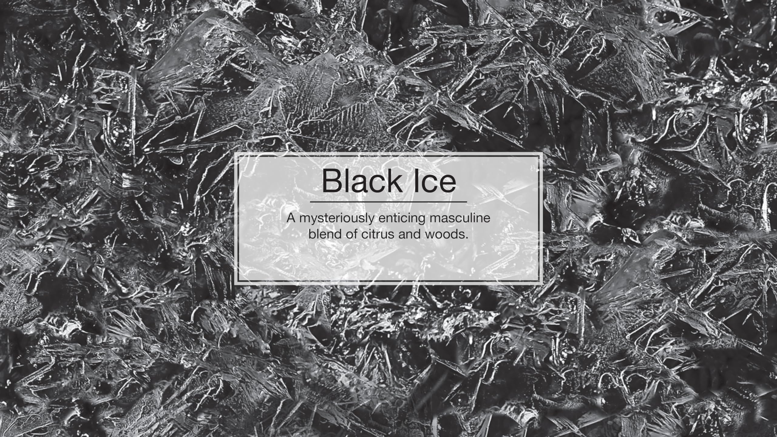 LITTLE TREES Air Freshener - Xtra Strength Black Ice, 1 Count (Pack of 24) - Long-Lasting Scent for Car & Home
