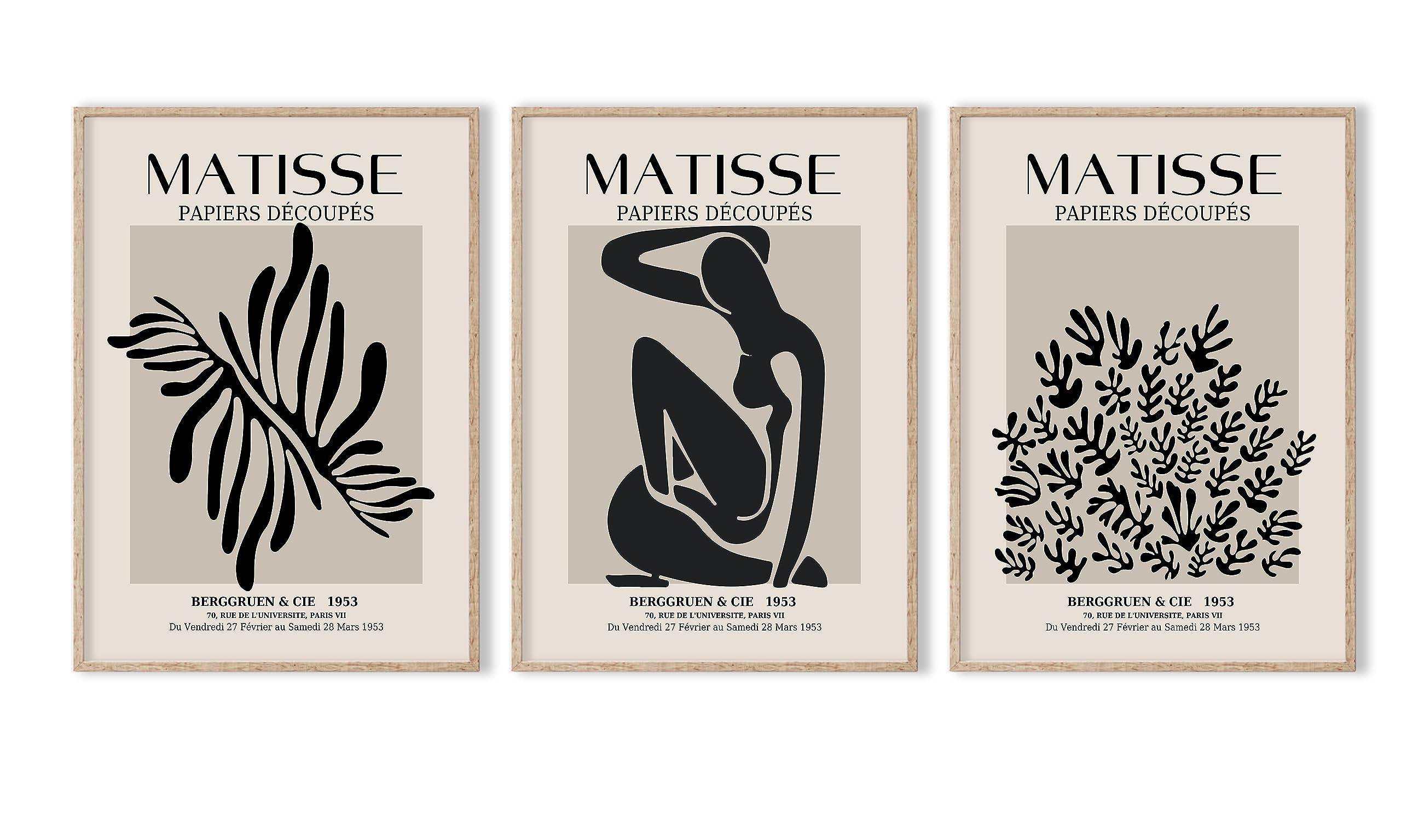 Nocta Matisse