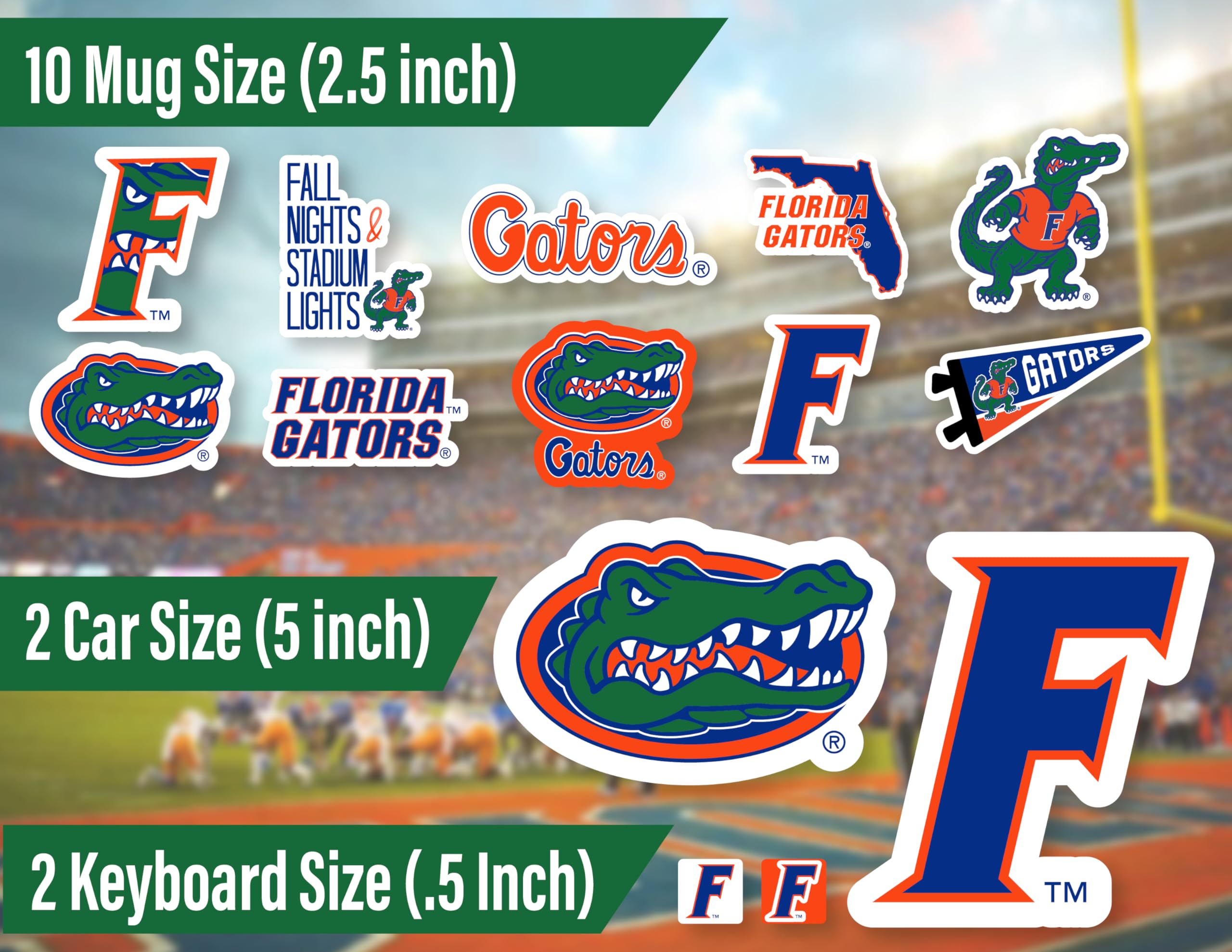 Florida Gators Stickers (14 Stickers) 2 Large 5'' For Car Windows 10 Medium 2.5'' For Water Bottles Laptops Phones 2 Mini Keyboa