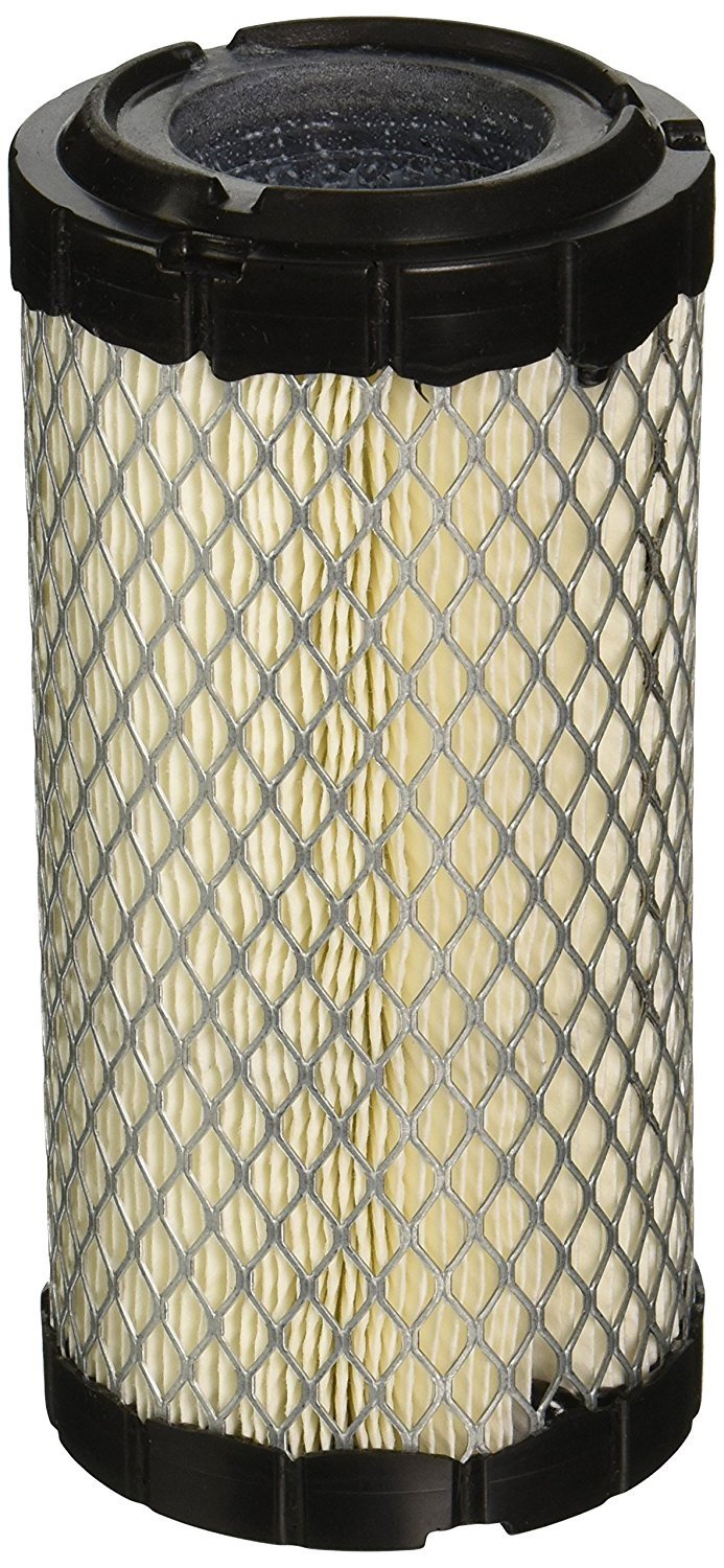 Donaldson P822686 Filter (Pack of 2)