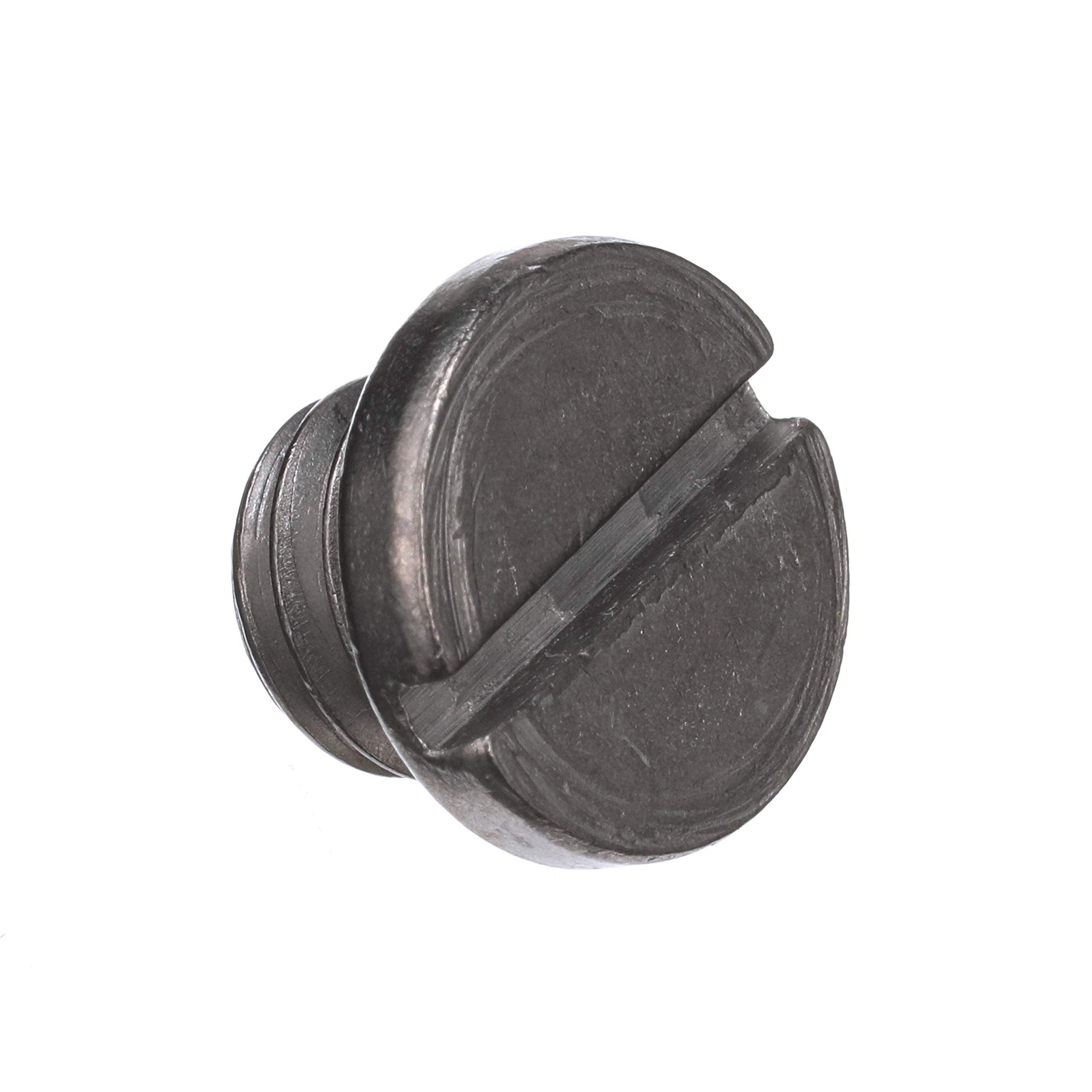 Quicksilver 79953Q04 Lower Unit Gear Lube Drain And Fill Hole Screw And Seal