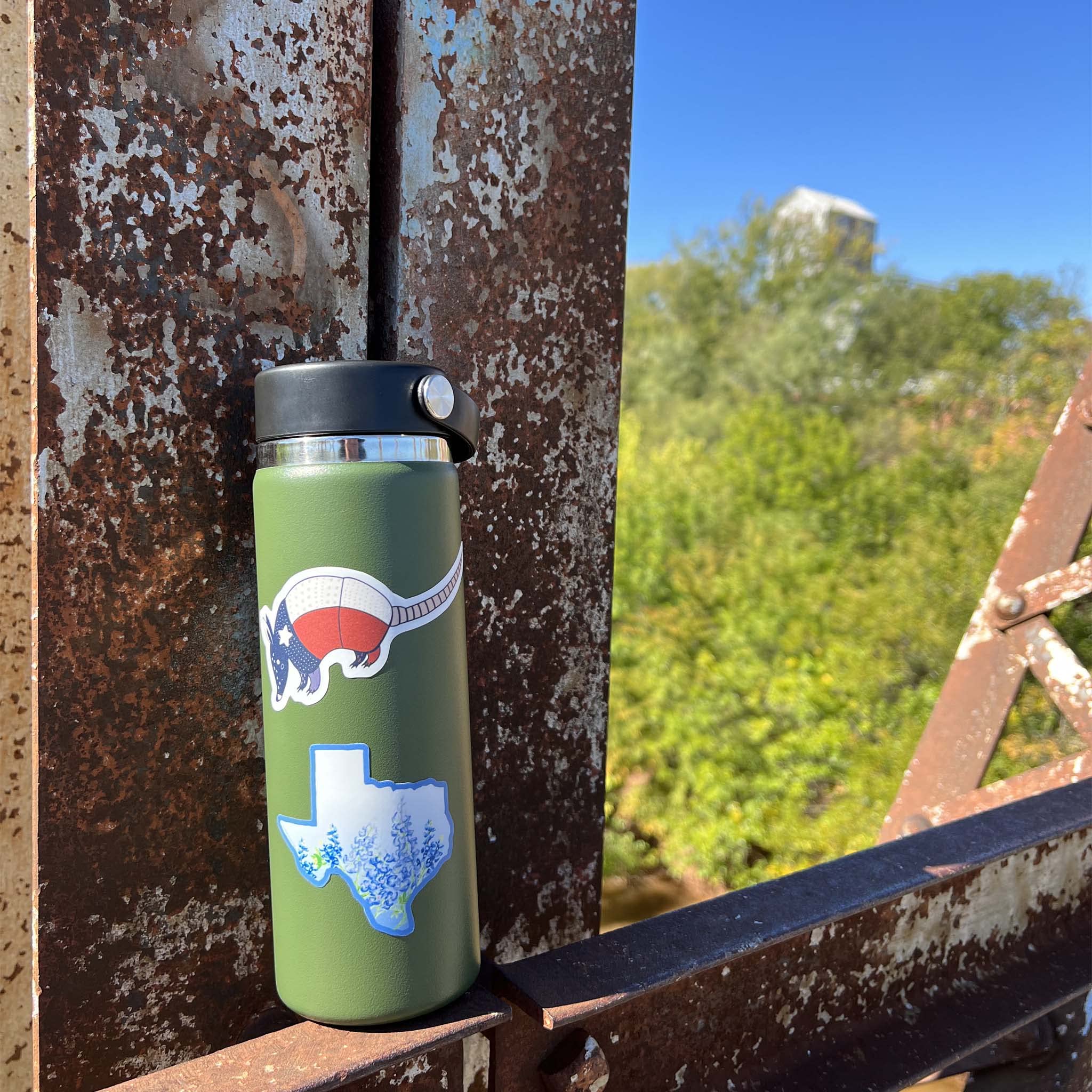 Cute Armadillo Texas Sticker, Lone Star Texas Flag Decal For Hydroflask & Tumbler, El Paso Houston Dallas San Antonio Atx Souven