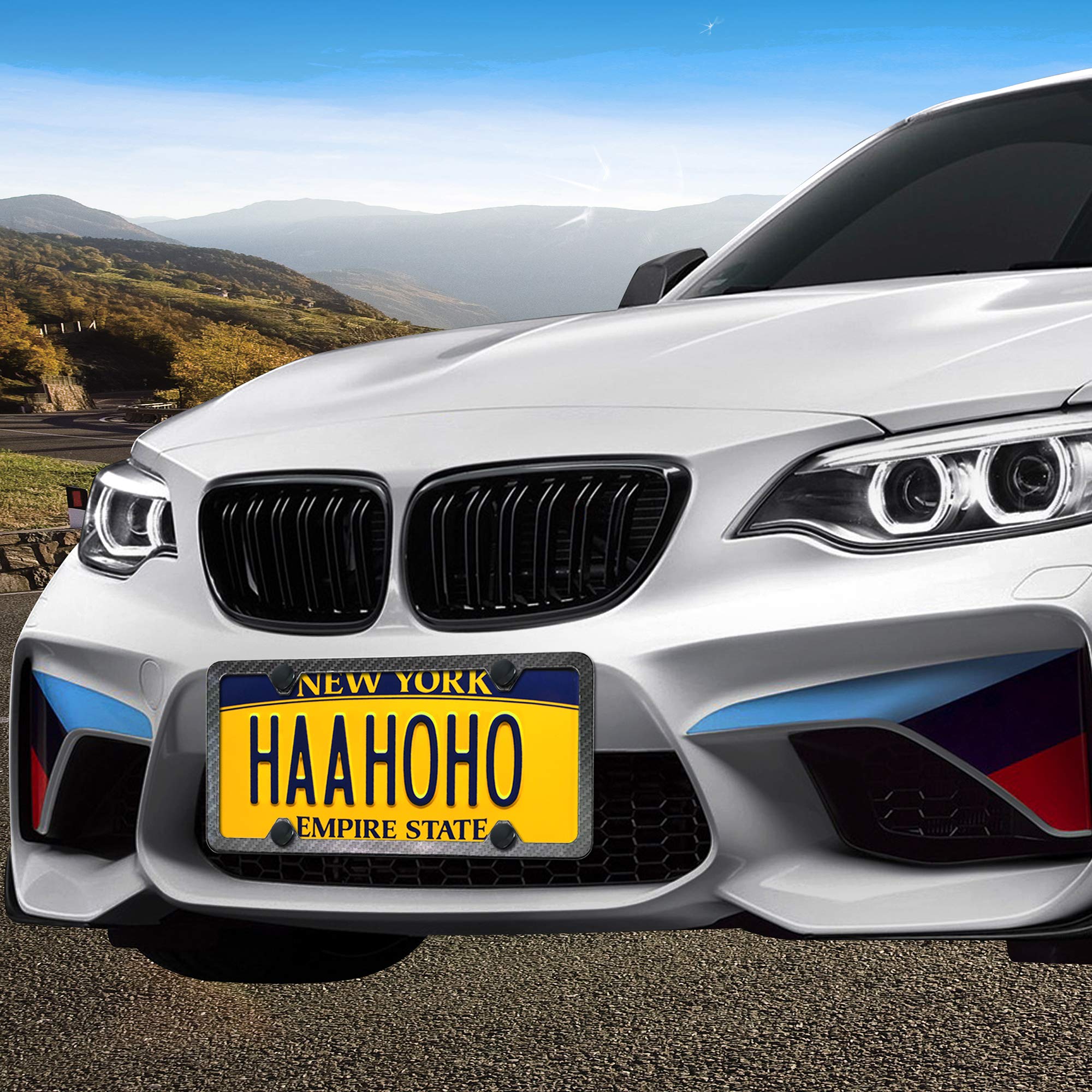 Bggtmo Black License Plate Screws- Stainless Steel Car Tag Plate Mounting Hardware, Rustproof Anti-Theft Security Mechanical Bol