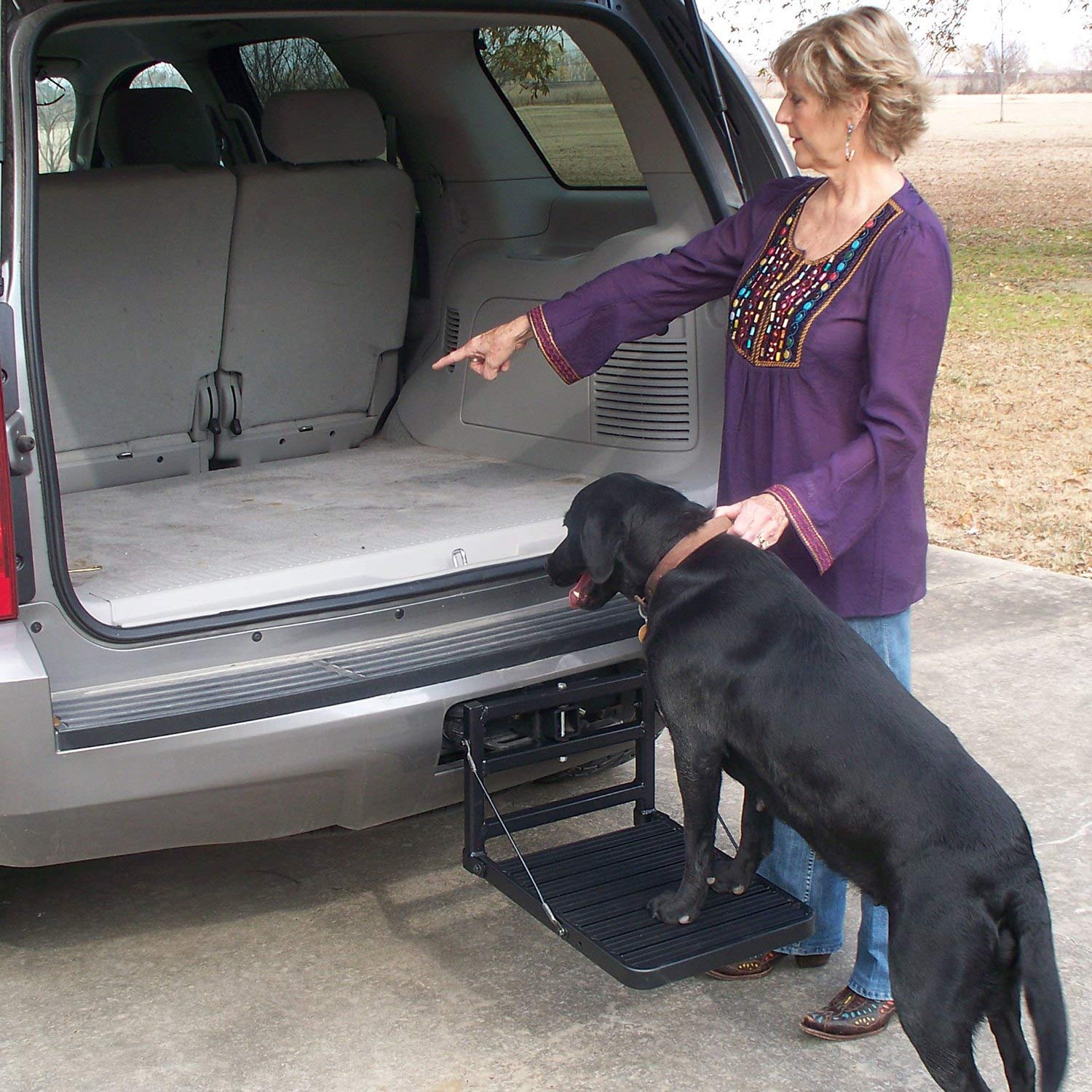 Great Day HU200B Hitch Up Pet Step, Aluminum, Black, Durable Design for Easy Access