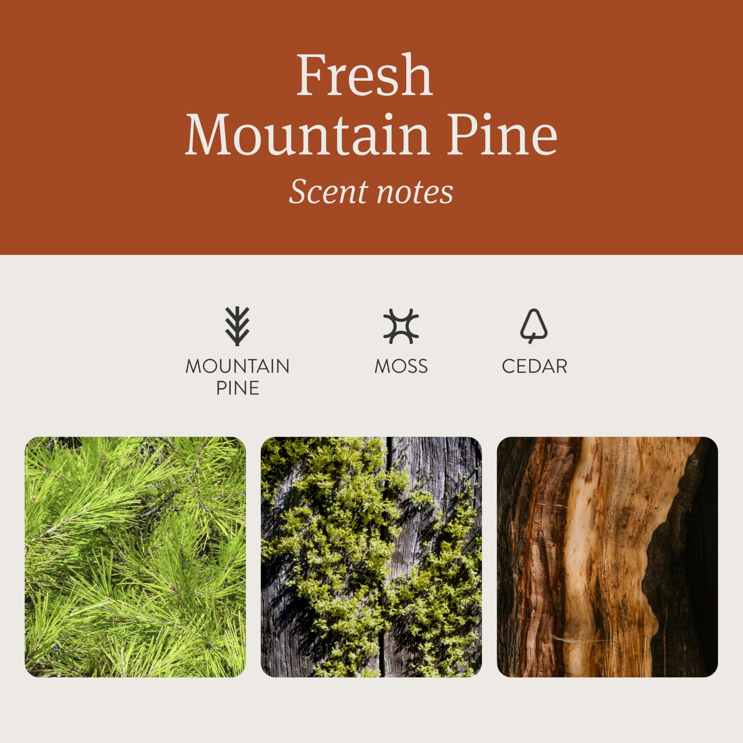 Drift Car Air Freshener - Wood Fragrance - Automotive Odor Eliminator - Car Fresheners Long Lasting - Pine Scent Refill - Pack o