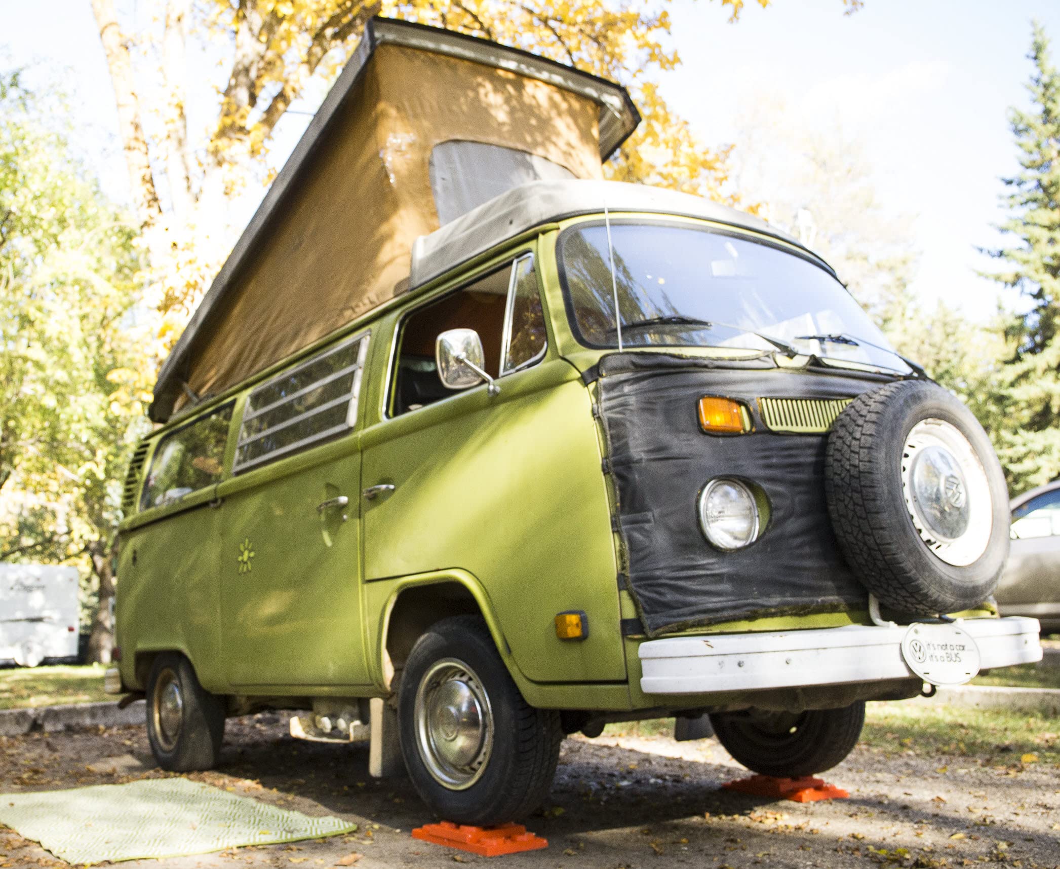 Lynx Levelers 6 Pack - 00013, Orange