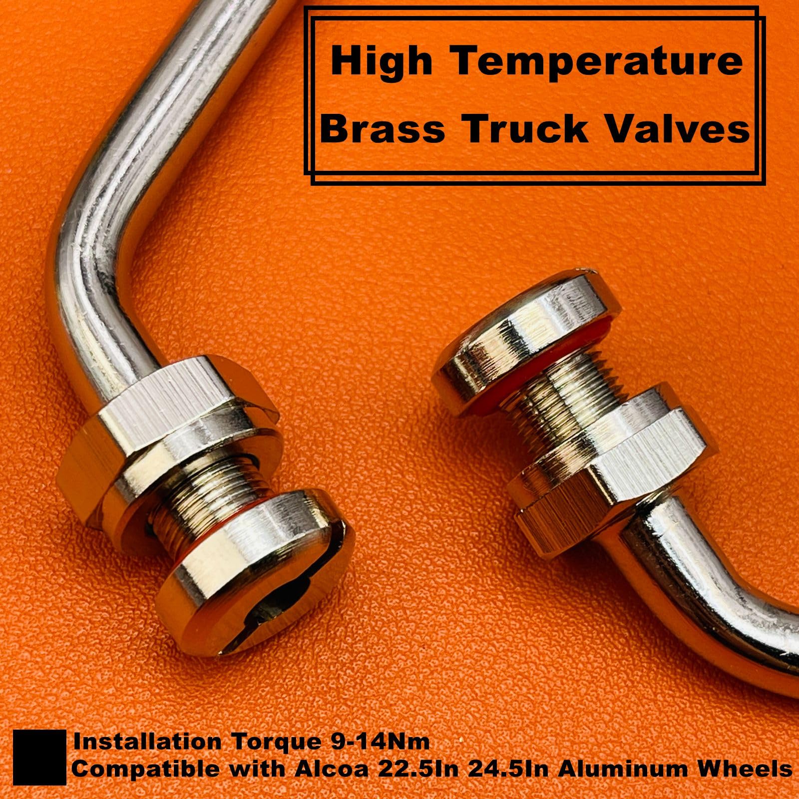 AUKISS TR545D Truck Tire Valve Stems, 60 Degree Brass Valve Stems Compatible with Alcoa 22.5in 24.5in Aluminum Wheels 9.7mm Rim