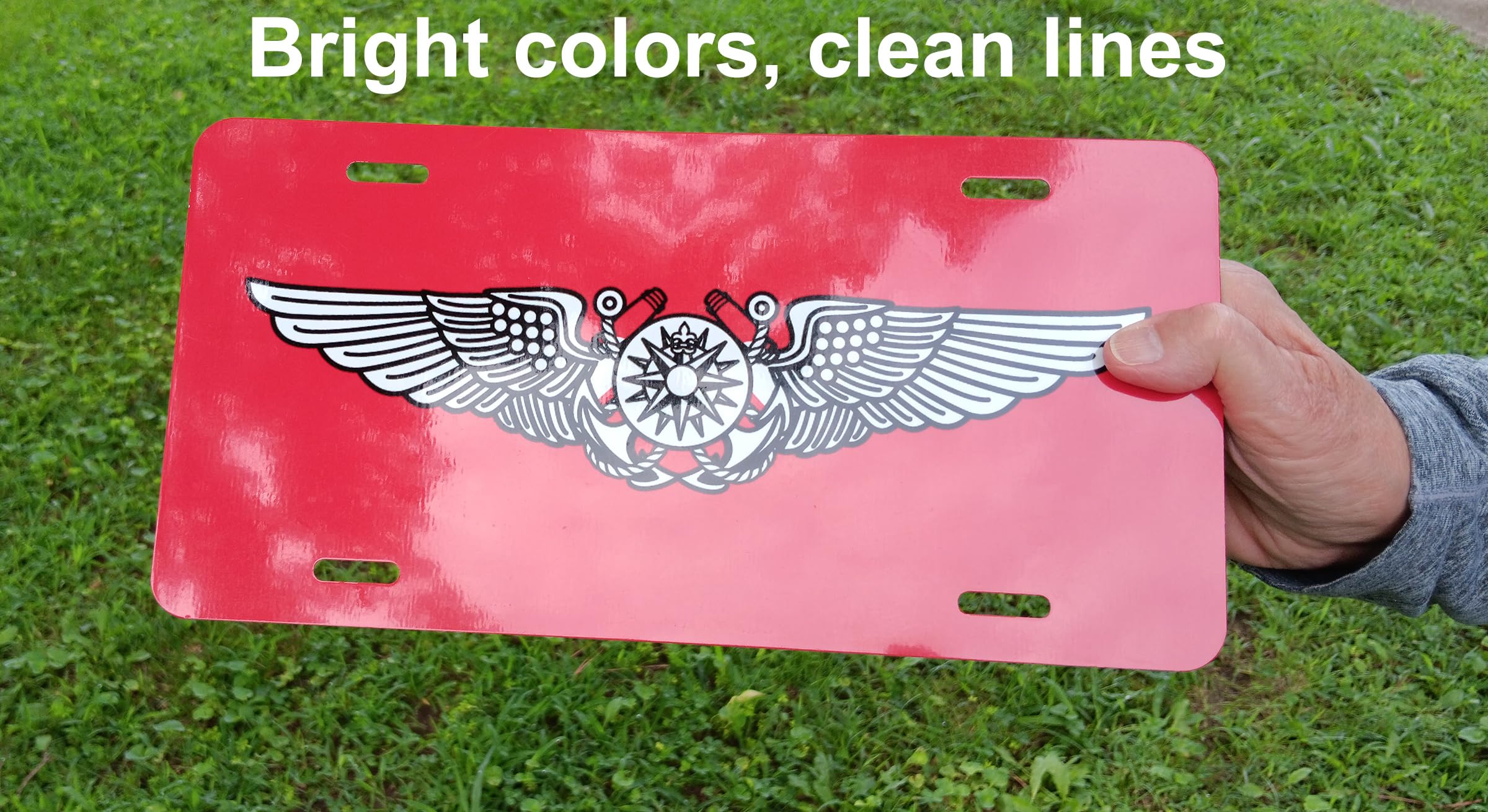 Carpe Diem Designs Customized Full Size License Plate | Car 6X12 | 5 Sizes | Personalized For Car Front Bumper, Wheelchair, Signage, Mailbox | Made In The Usa .032 Thick Aluminum