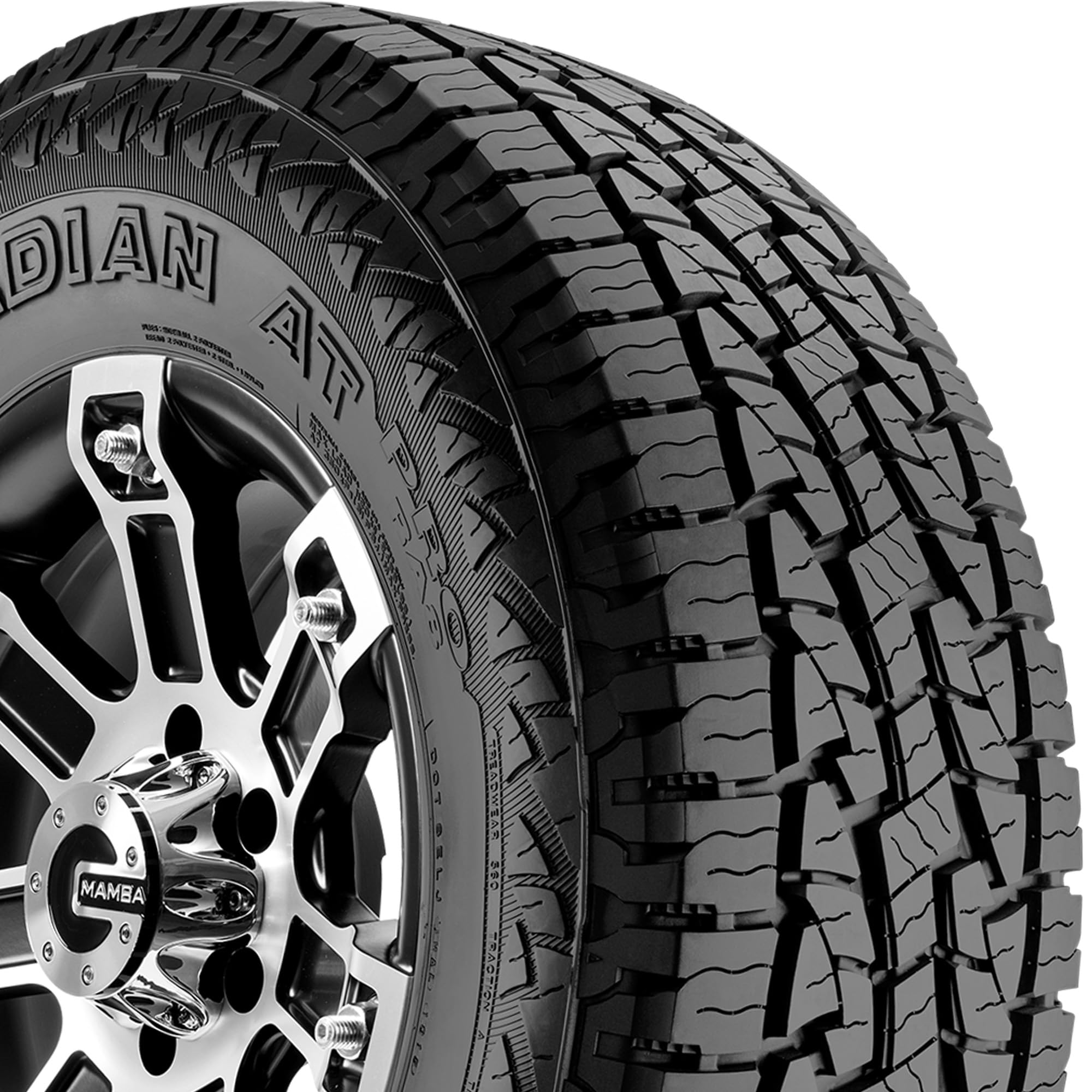 Nexen Roadian At Pro Ra8 All- Season Radial Tire-255/70R16 111S