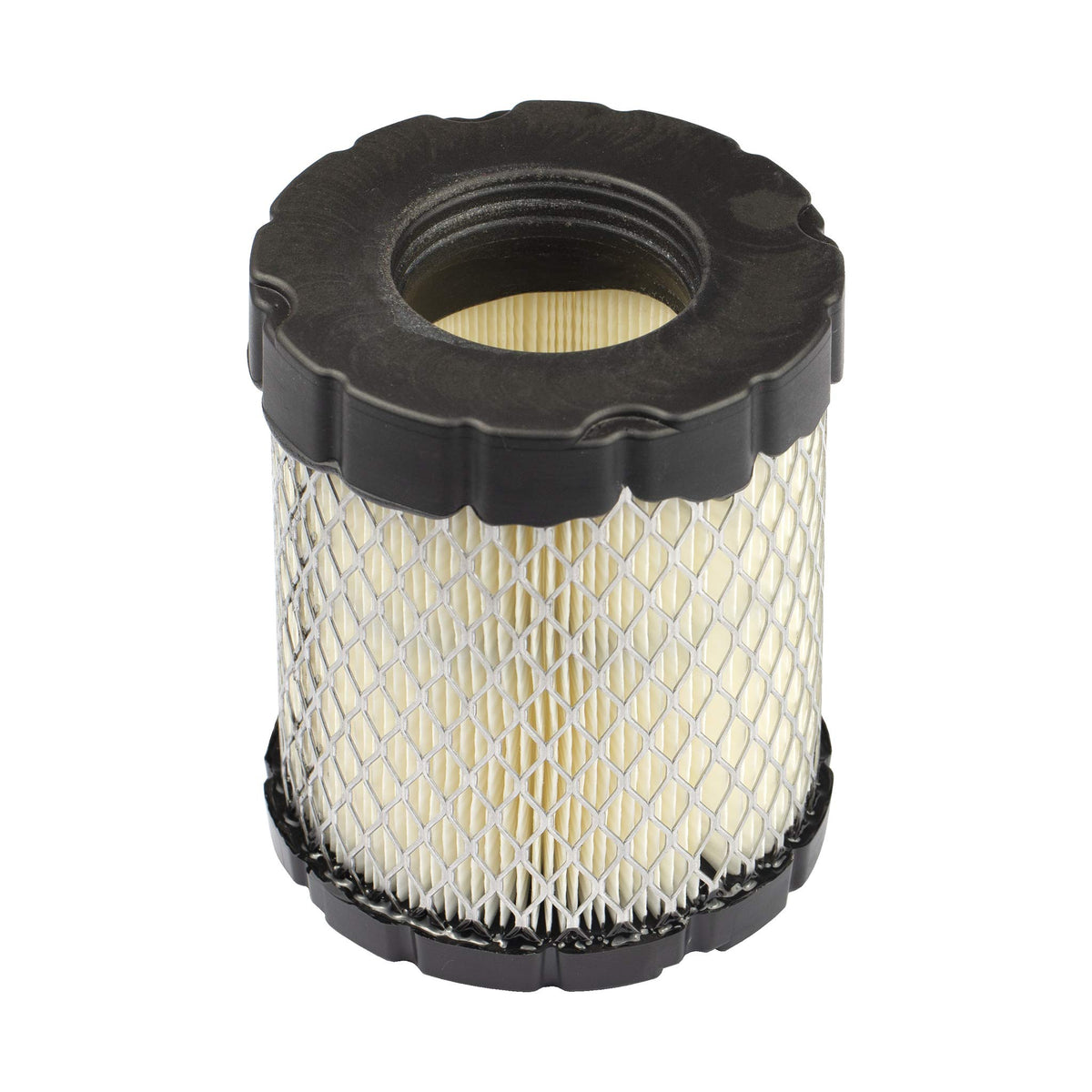 Briggs & Stratton 798897 Air Filter, Multi