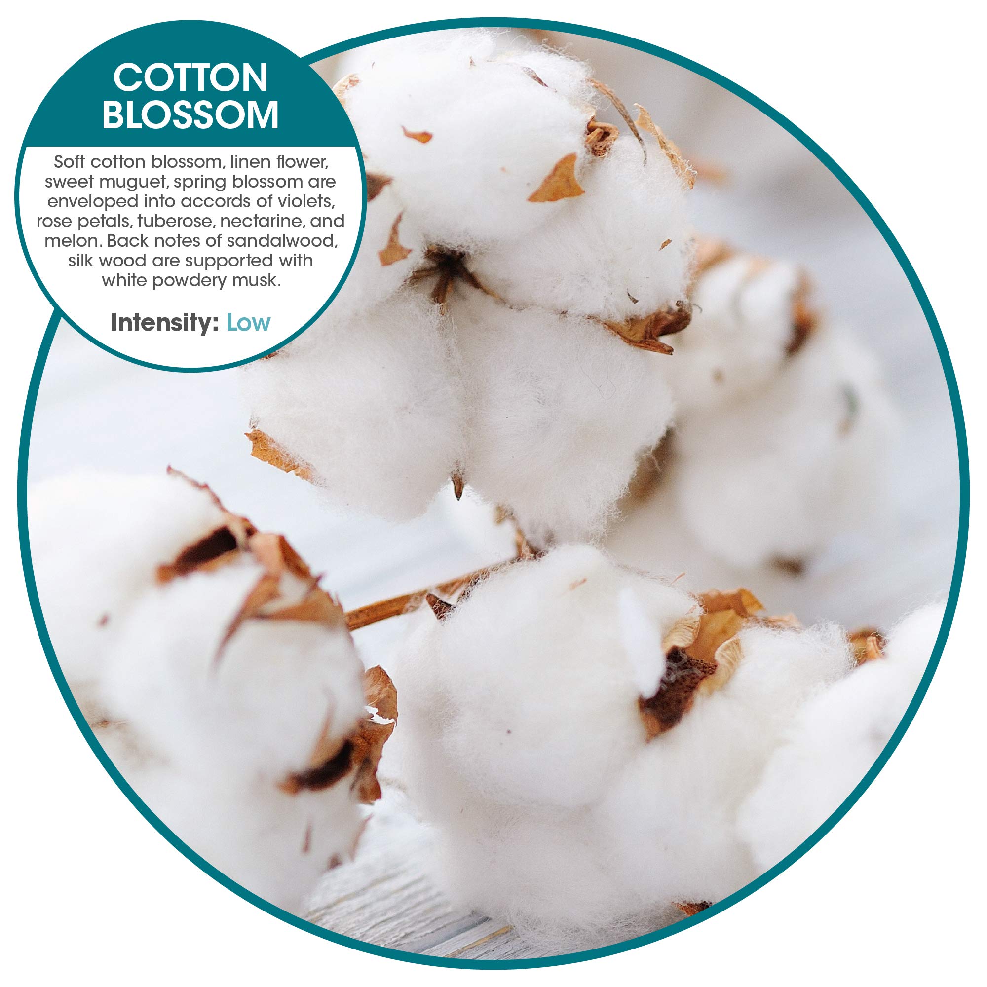 Fresh Products Easy Fresh Refill, Cotton (Eaf06)