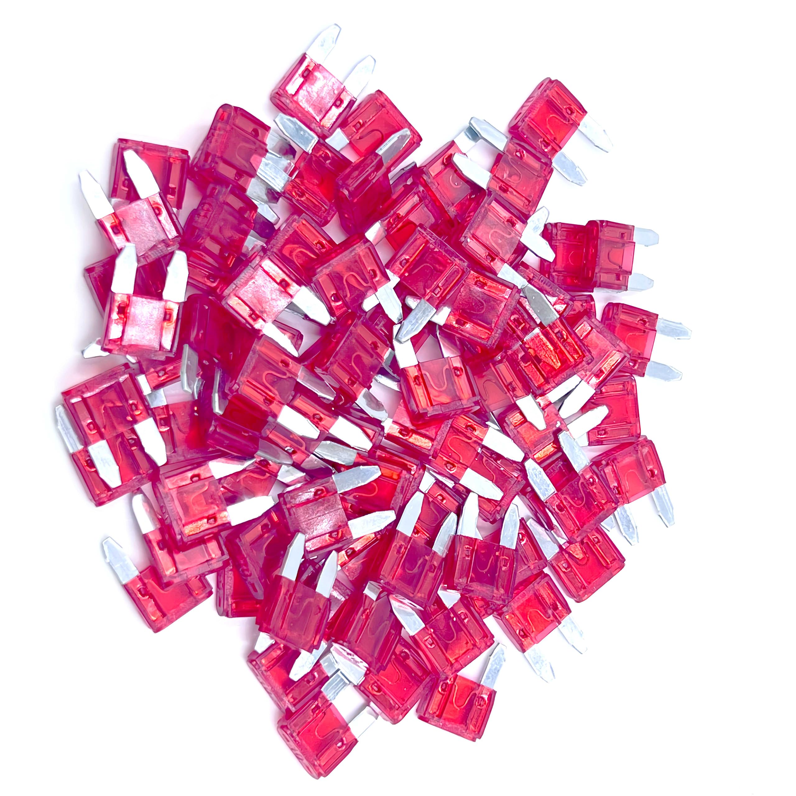 Xjlsgxusg 80Pcs 10Amp Mini Car Fuses, Blade Fuse Assortment Kit For Car, Marine, Truck, Rv Fuse Replacement