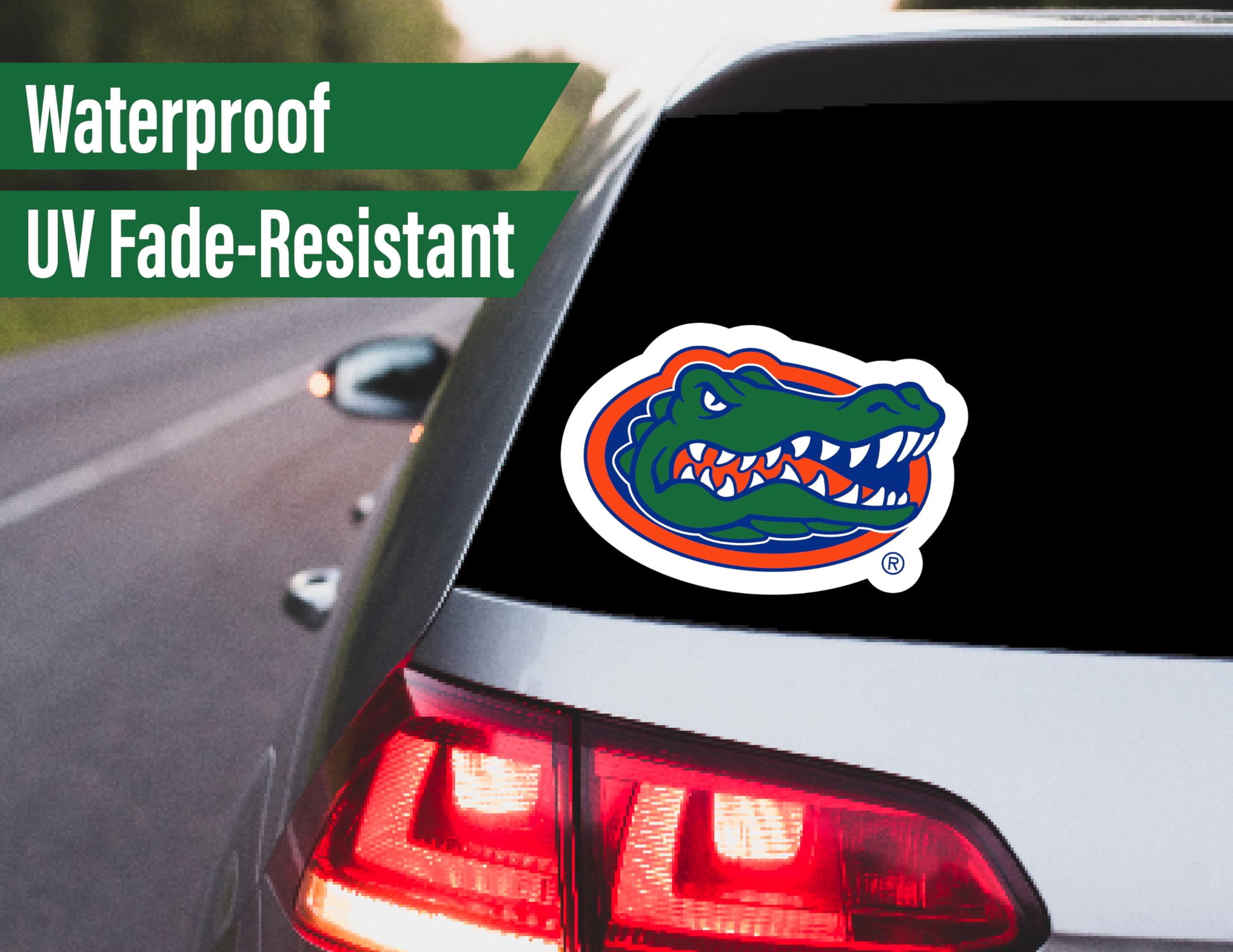 Florida Gators Stickers (14 Stickers) 2 Large 5'' For Car Windows 10 Medium 2.5'' For Water Bottles Laptops Phones 2 Mini Keyboa