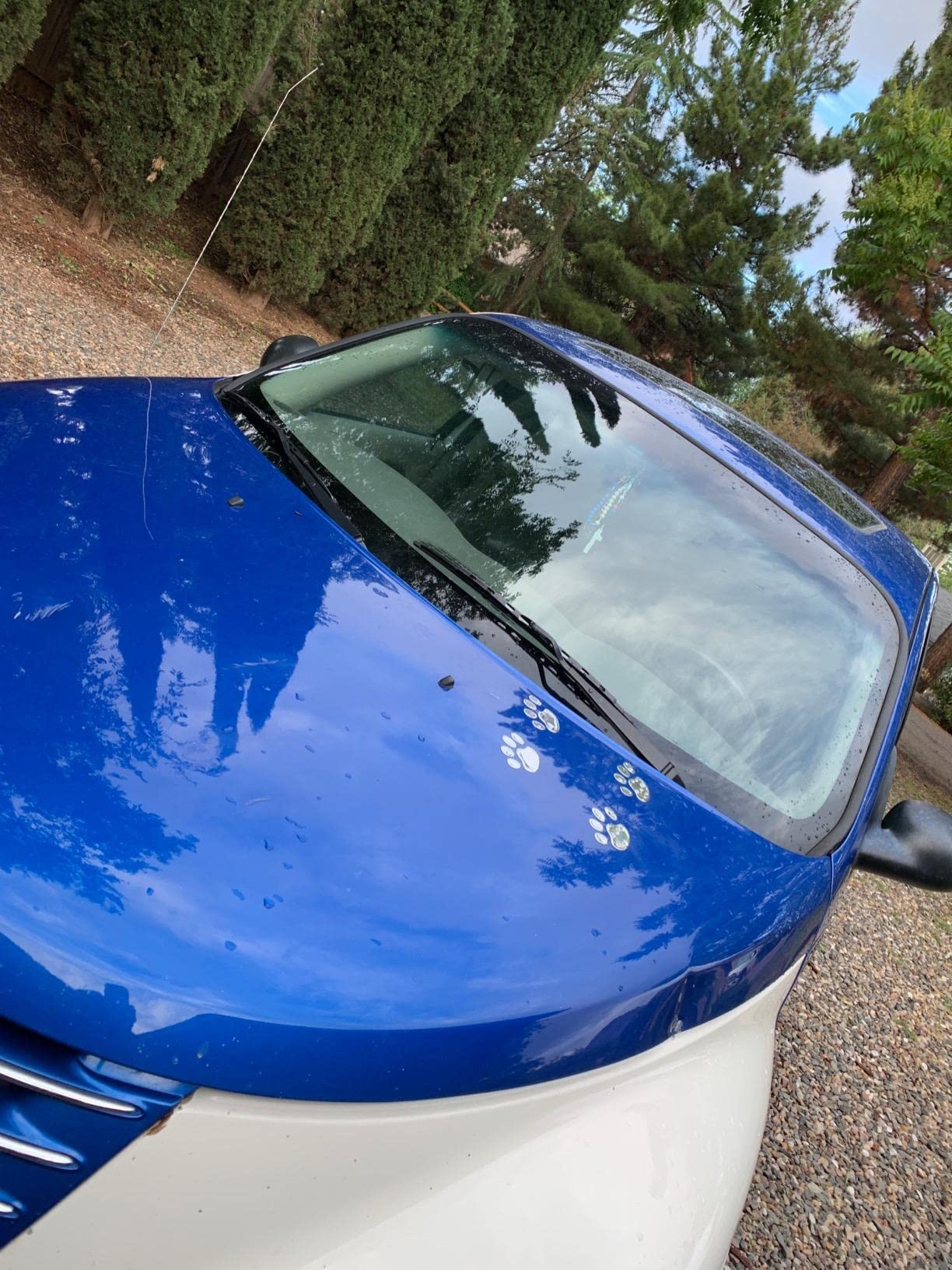 Lzlrun 3D Dog Paw Footprint Sticker Decal Auto Car Emblem Decal Decoration (Silver)