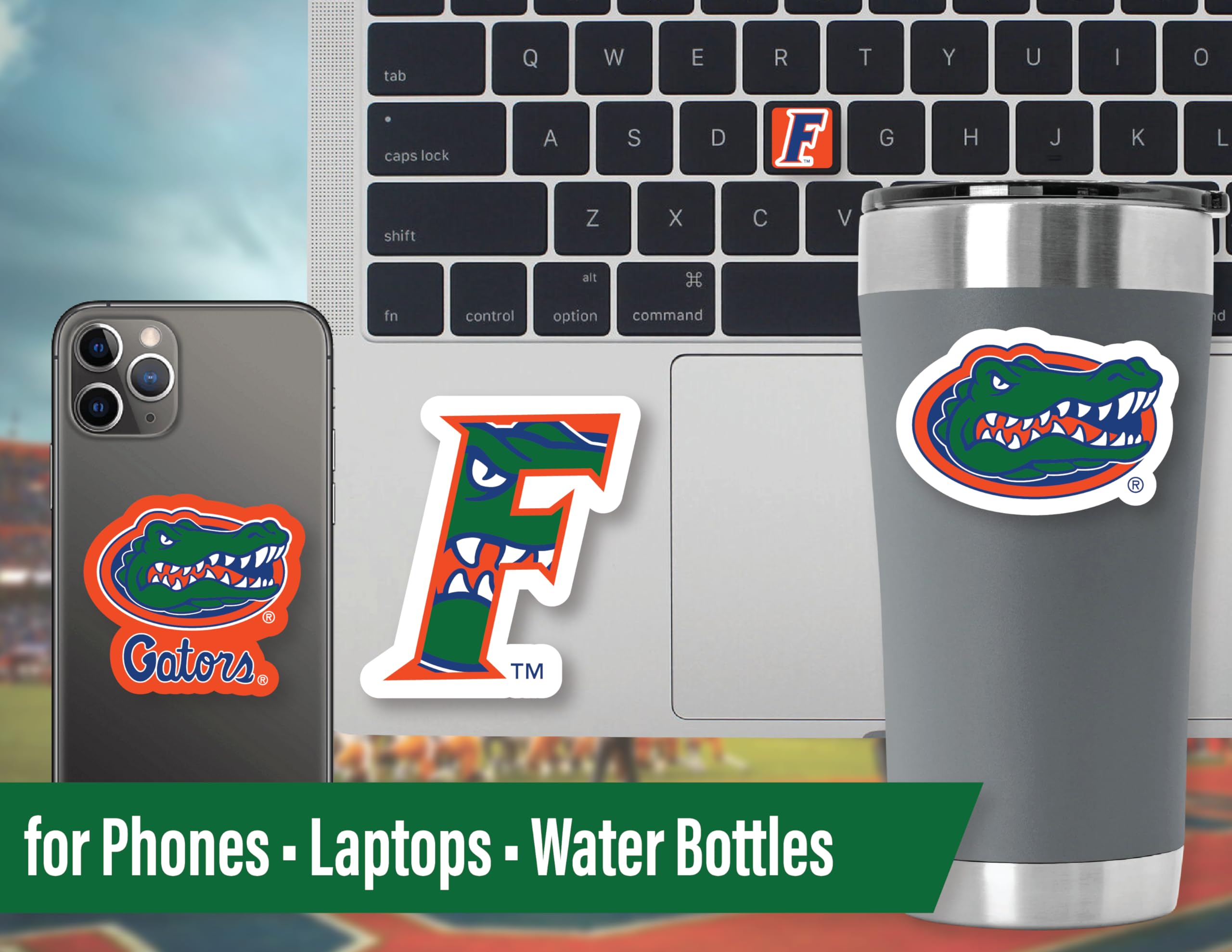 Florida Gators Stickers (14 Stickers) 2 Large 5'' For Car Windows 10 Medium 2.5'' For Water Bottles Laptops Phones 2 Mini Keyboa