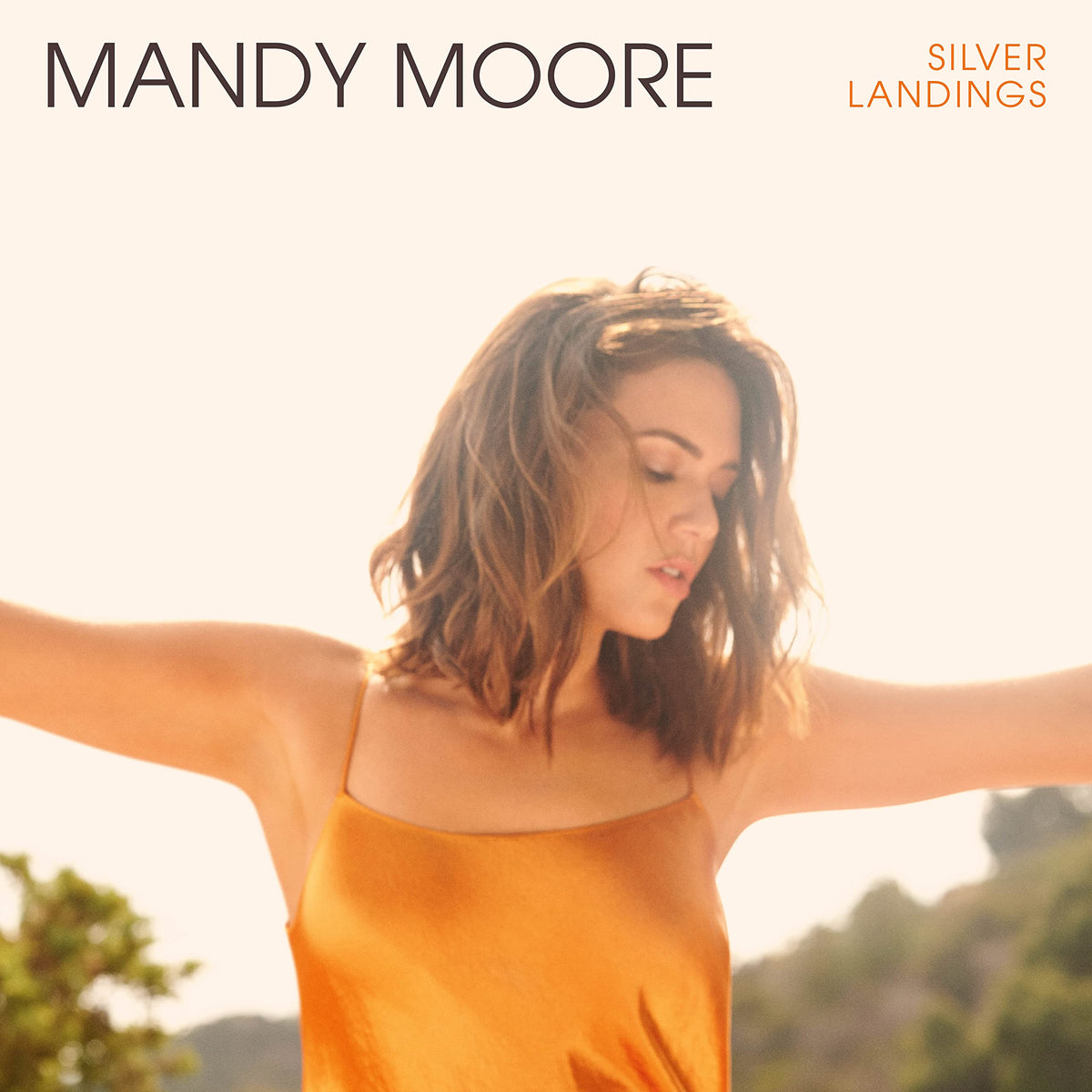 Silver Landings[Lp]