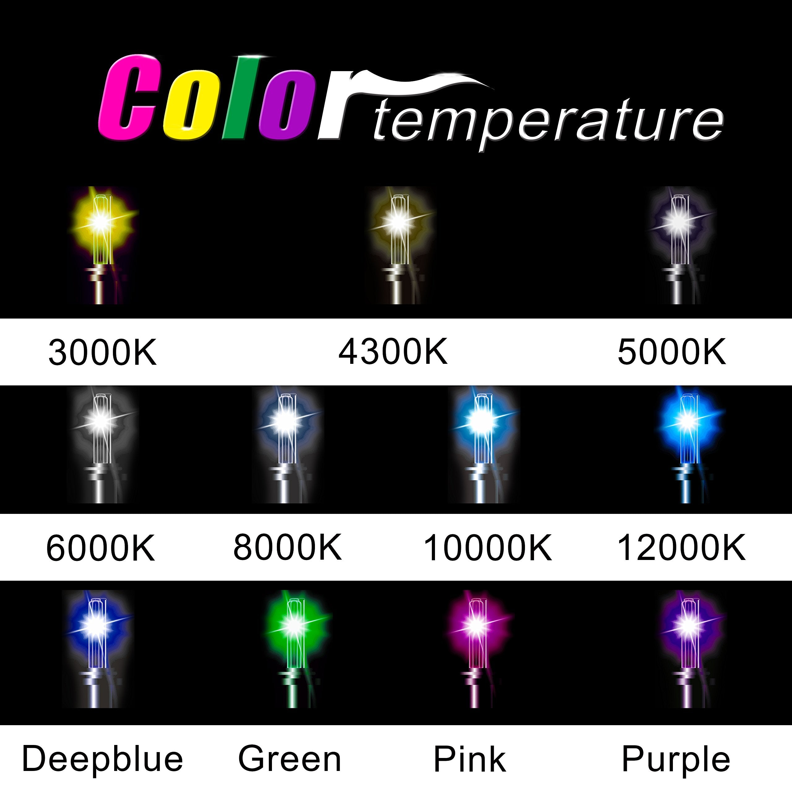 Innovited Hid Xenon D1S 10000K Replacement Bulbs (1 Pair)