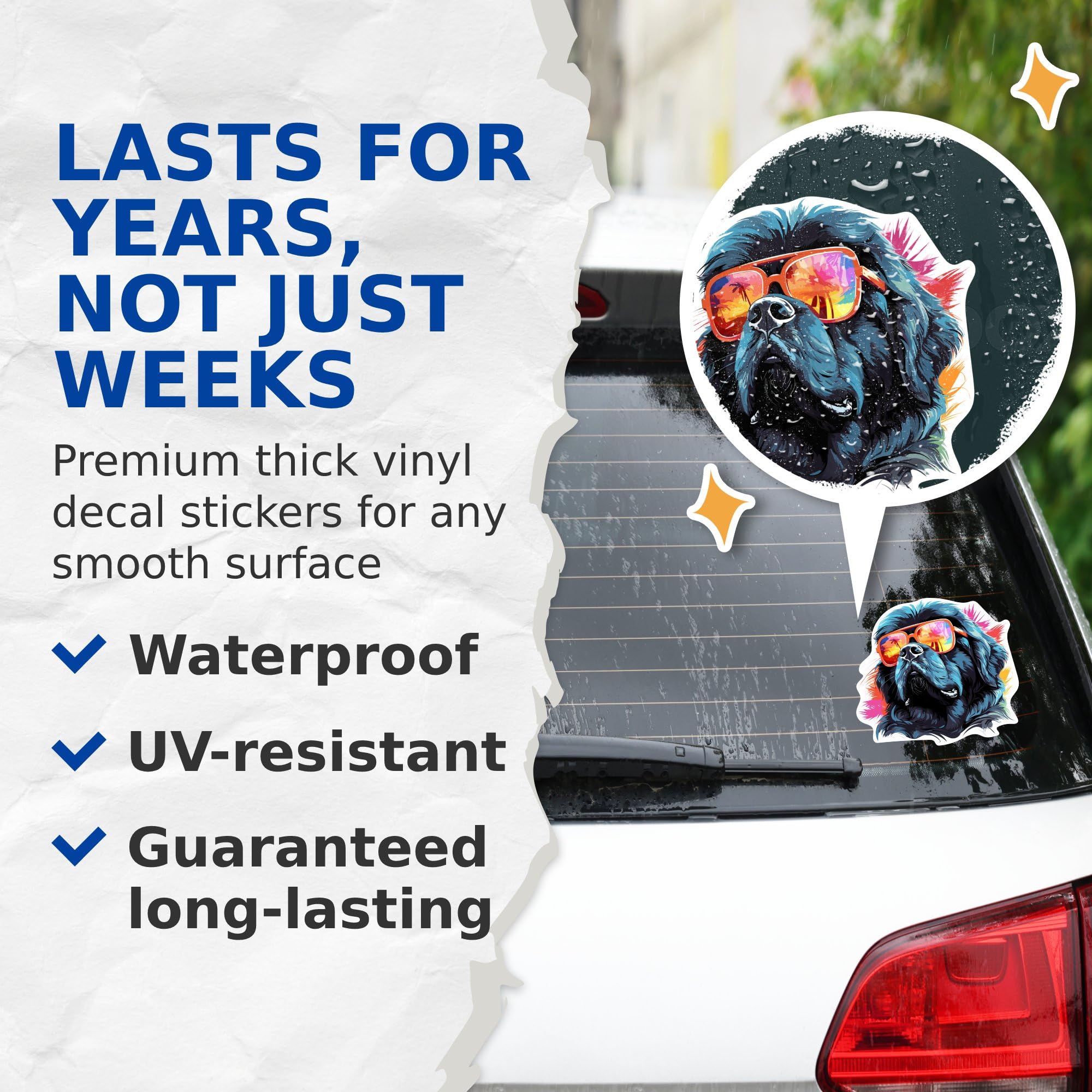 (2 Pack) Newfoundland Dog Stickers - Newfoundland with Sunglasses - Choose FromOver 100 Dog Breeds - 5 Inches On Longest Side -