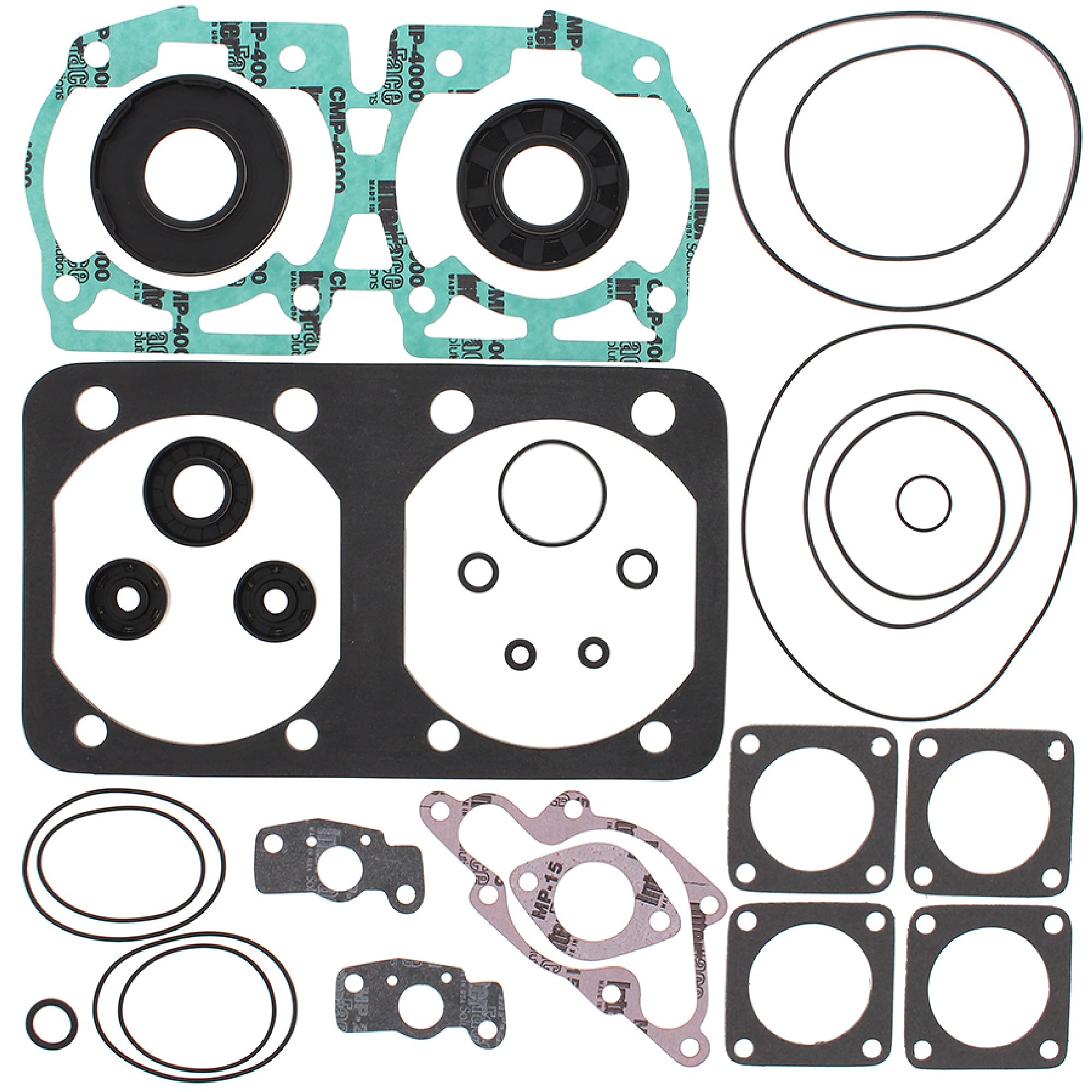 Complete Gasket Kit With Oil Seals Compatible with/Replacement for Ski-Doo