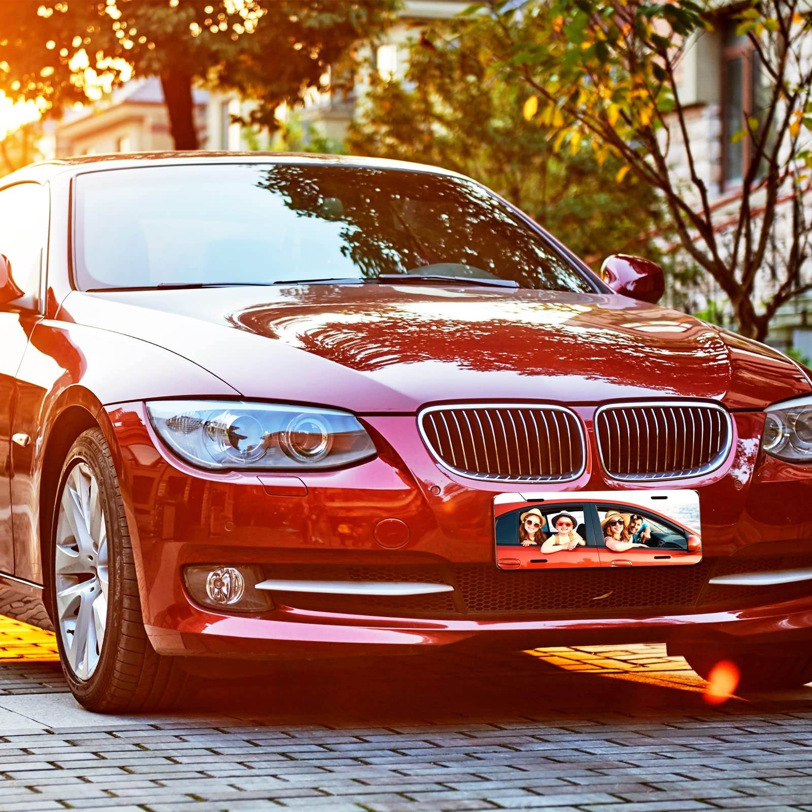 10 Pack Sublimation License Plate Blanks,Heat Thermal Transfer Sheet Diy Picture Sublimation Blank,Metal Aluminum Automotive Lic