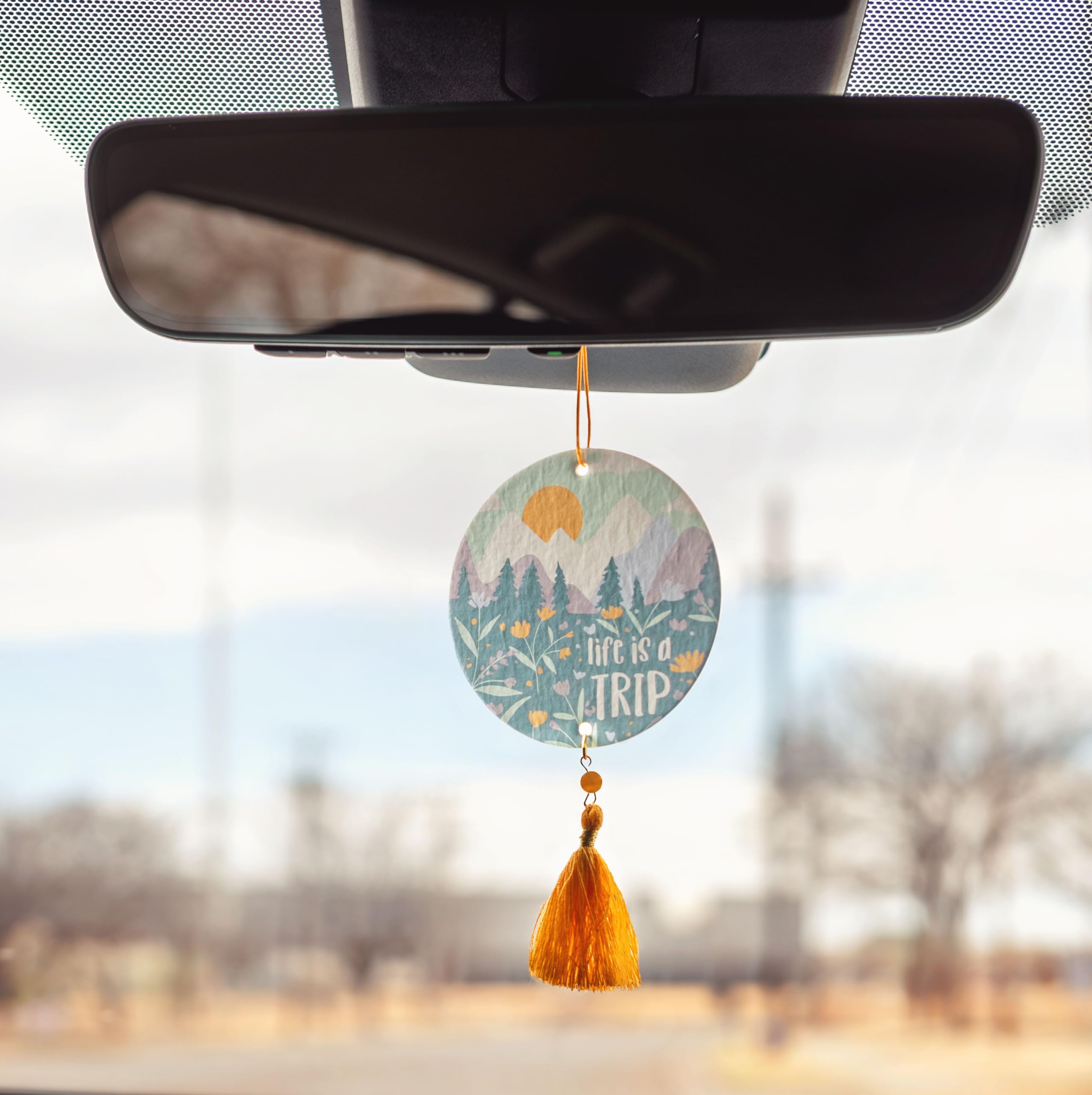 Karma, Essential Oil Air Freshener For Cars Set Of 2, Home & Office - Colorful Decorative Hanging Air Freshener With Tassel, My