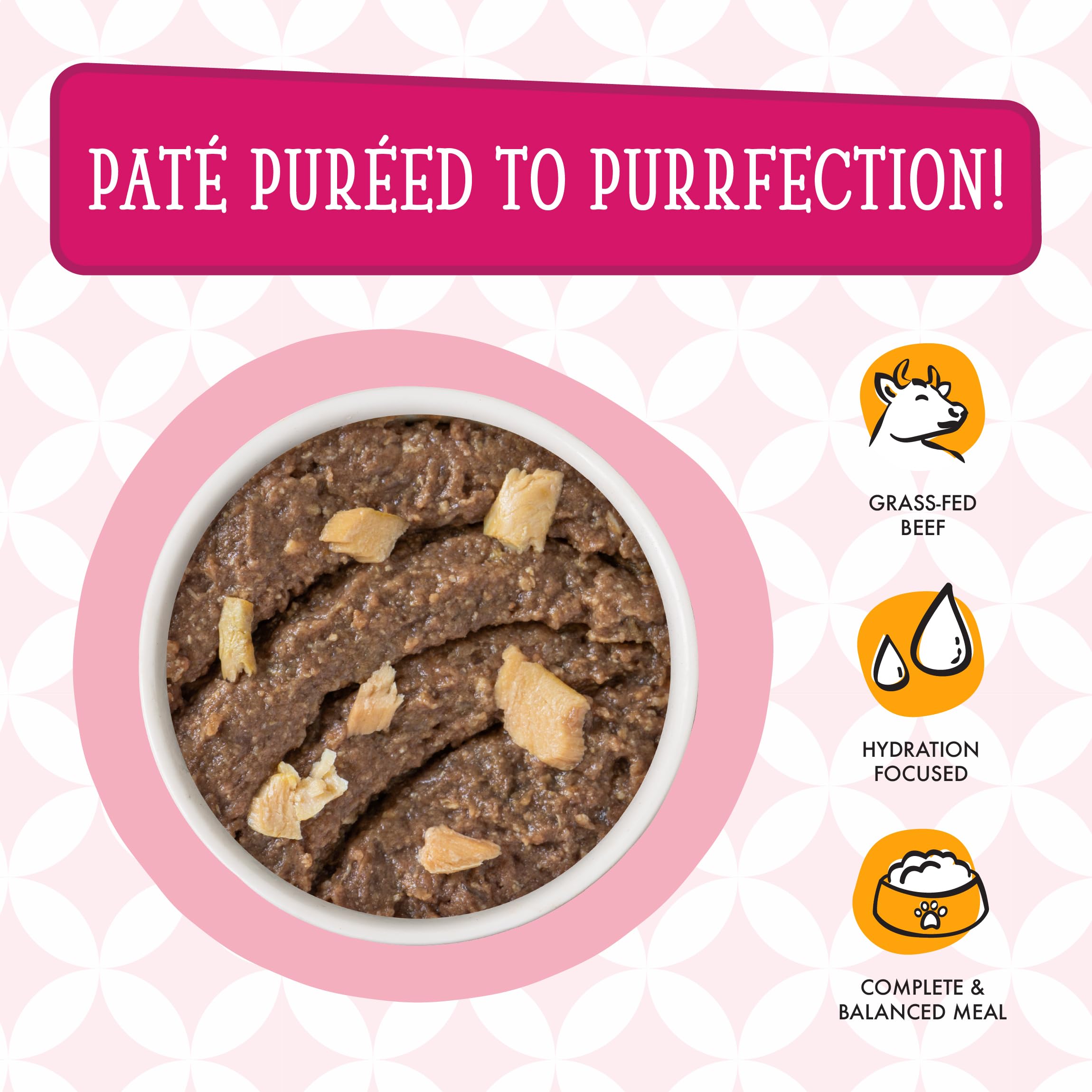 Weruva Cats In The Kitchen Pata, The Karate Kitty With Beef  Salmon, 3Oz Pouch (Pack Of 12)