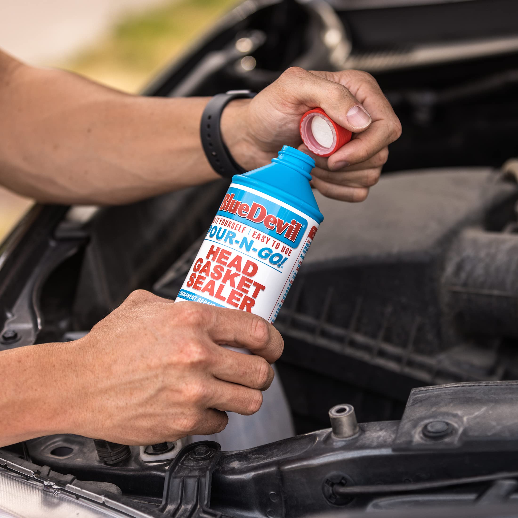 Bluedevil Products 00209 Pour-N-Go Head Gasket Sealer - 16 Ounce